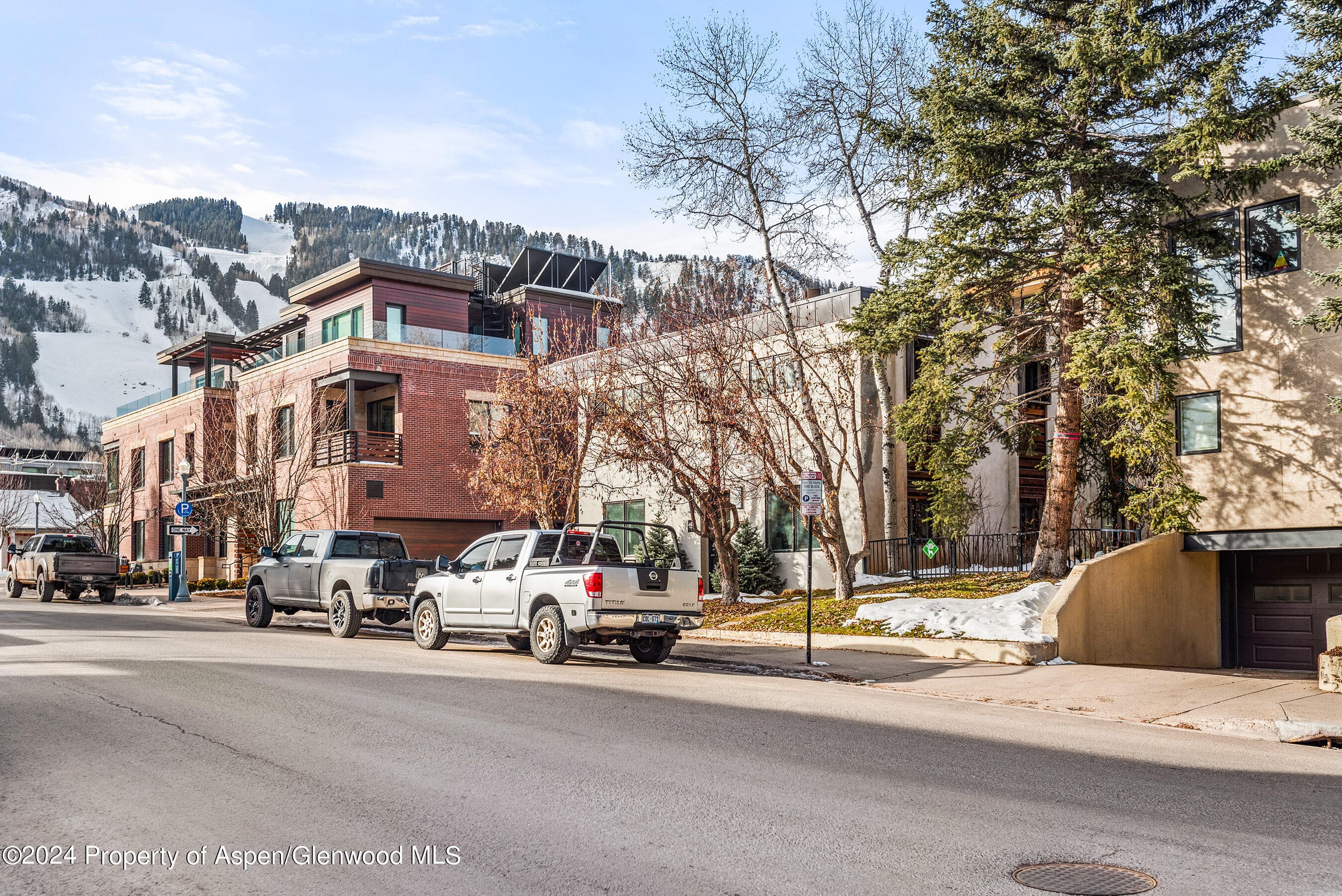 117 S Spring Street A & B, Aspen, CO 81611 - Photo 22