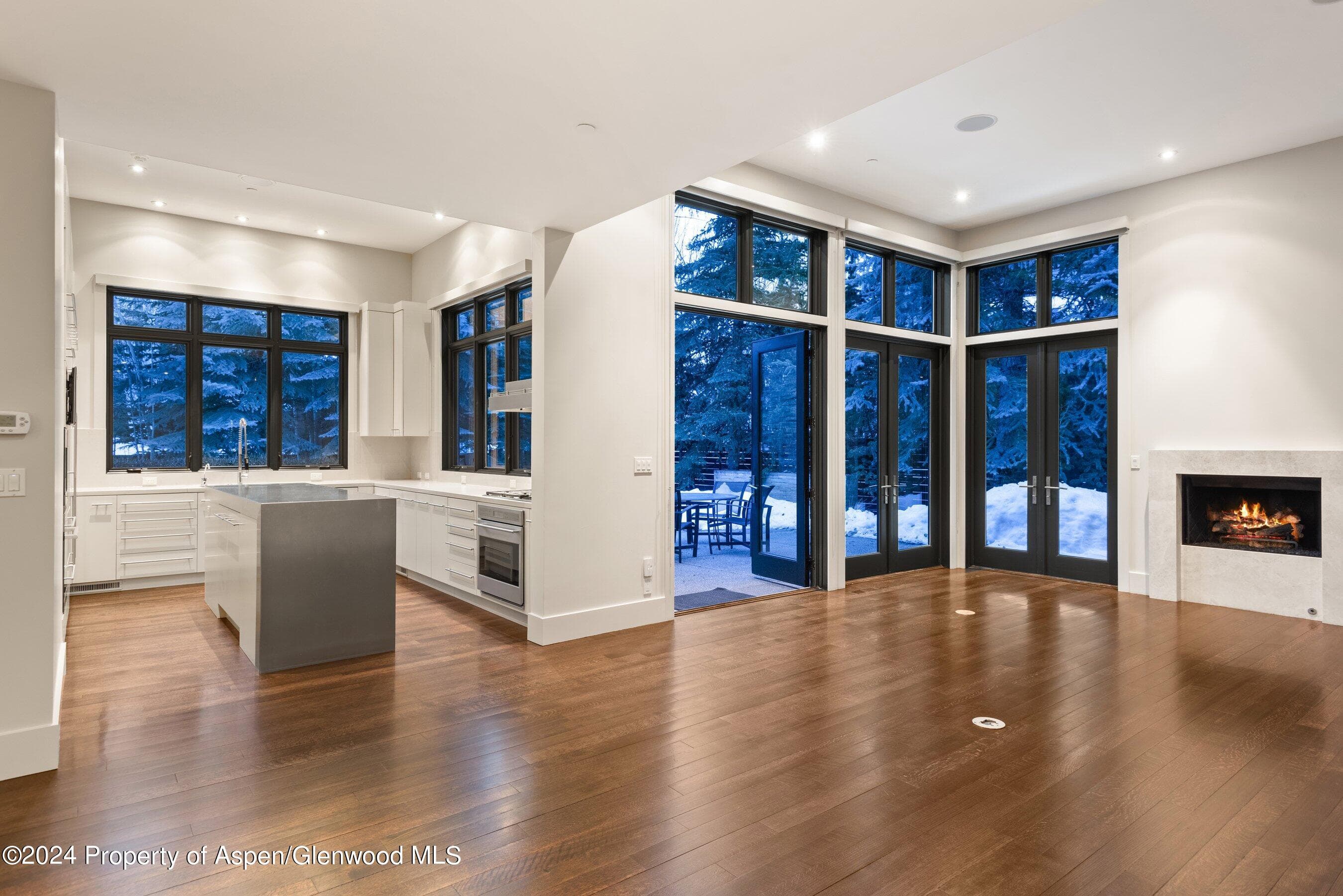 1320 Sierra Vista Drive Unit A, Aspen, CO 81611 - Photo 4
