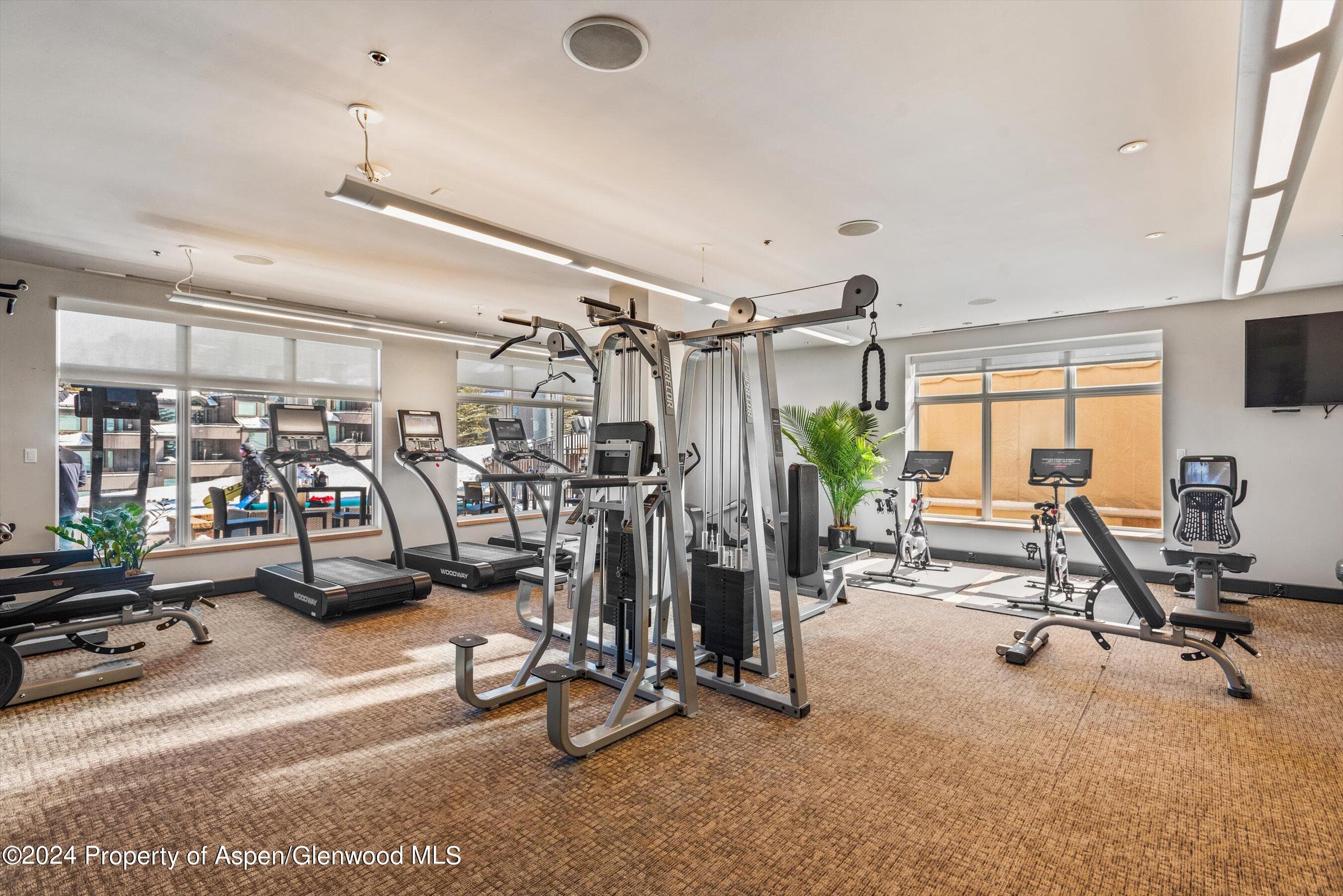 130 Wood Road 631, Snowmass Village, CO 81615 - Photo 25