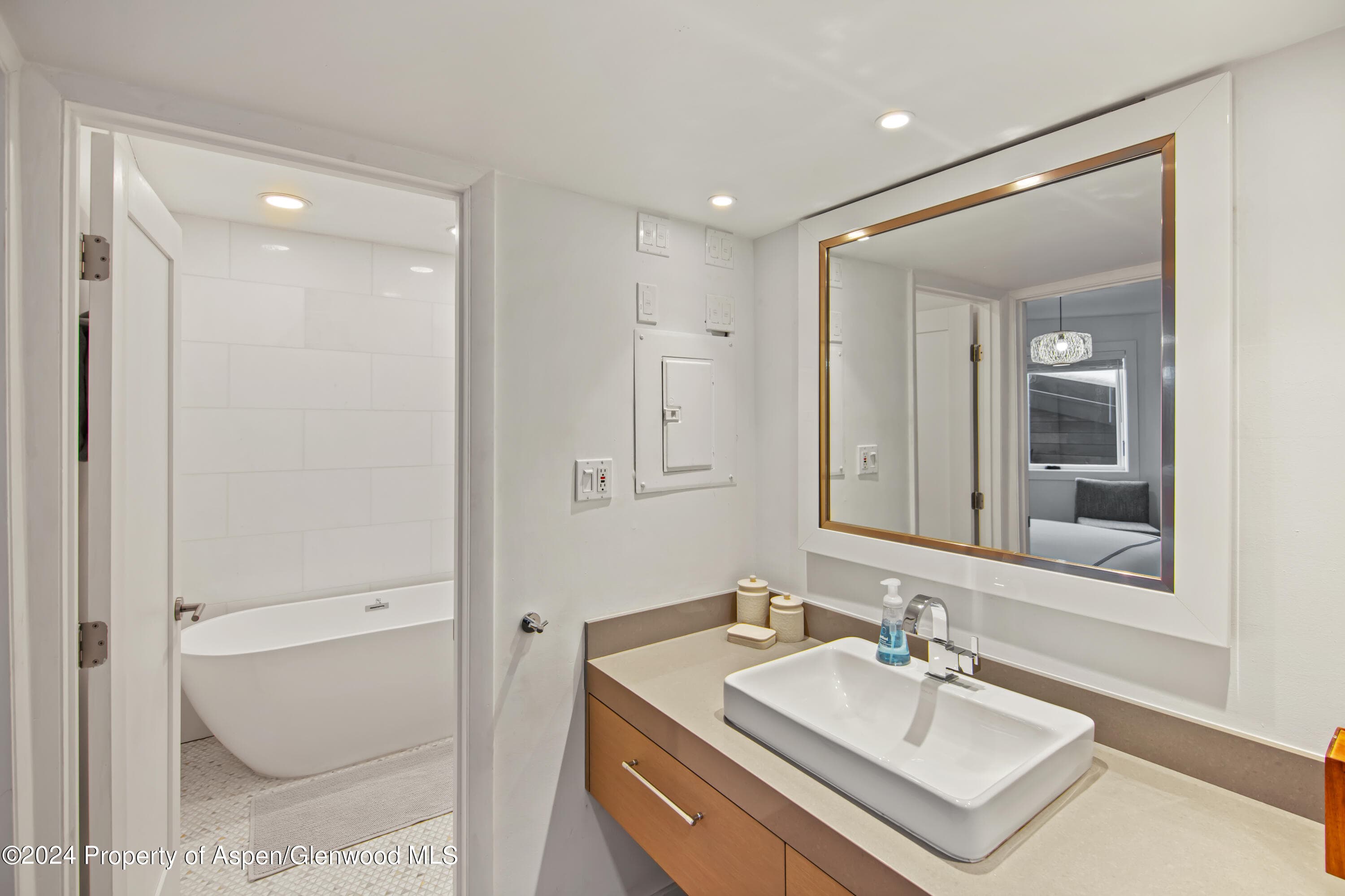 809 S Aspen Street #7, Aspen, CO 81611 - Photo 25