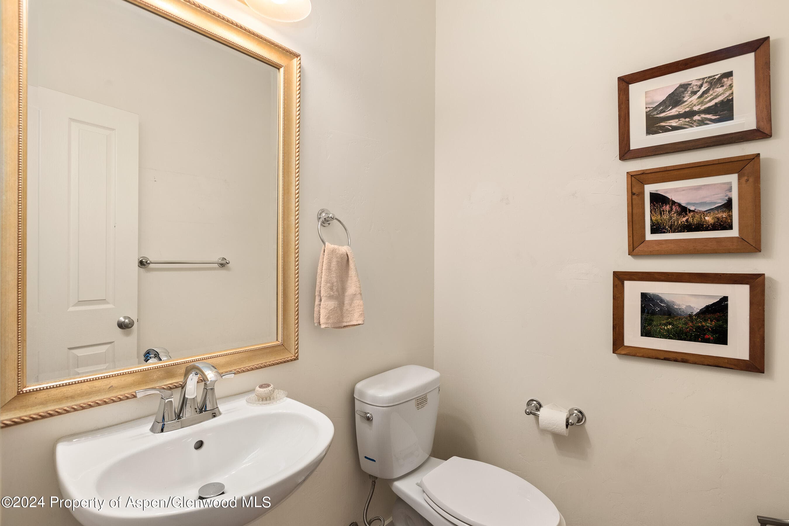 546 Evans Court, Basalt, CO 81621 - Photo 12