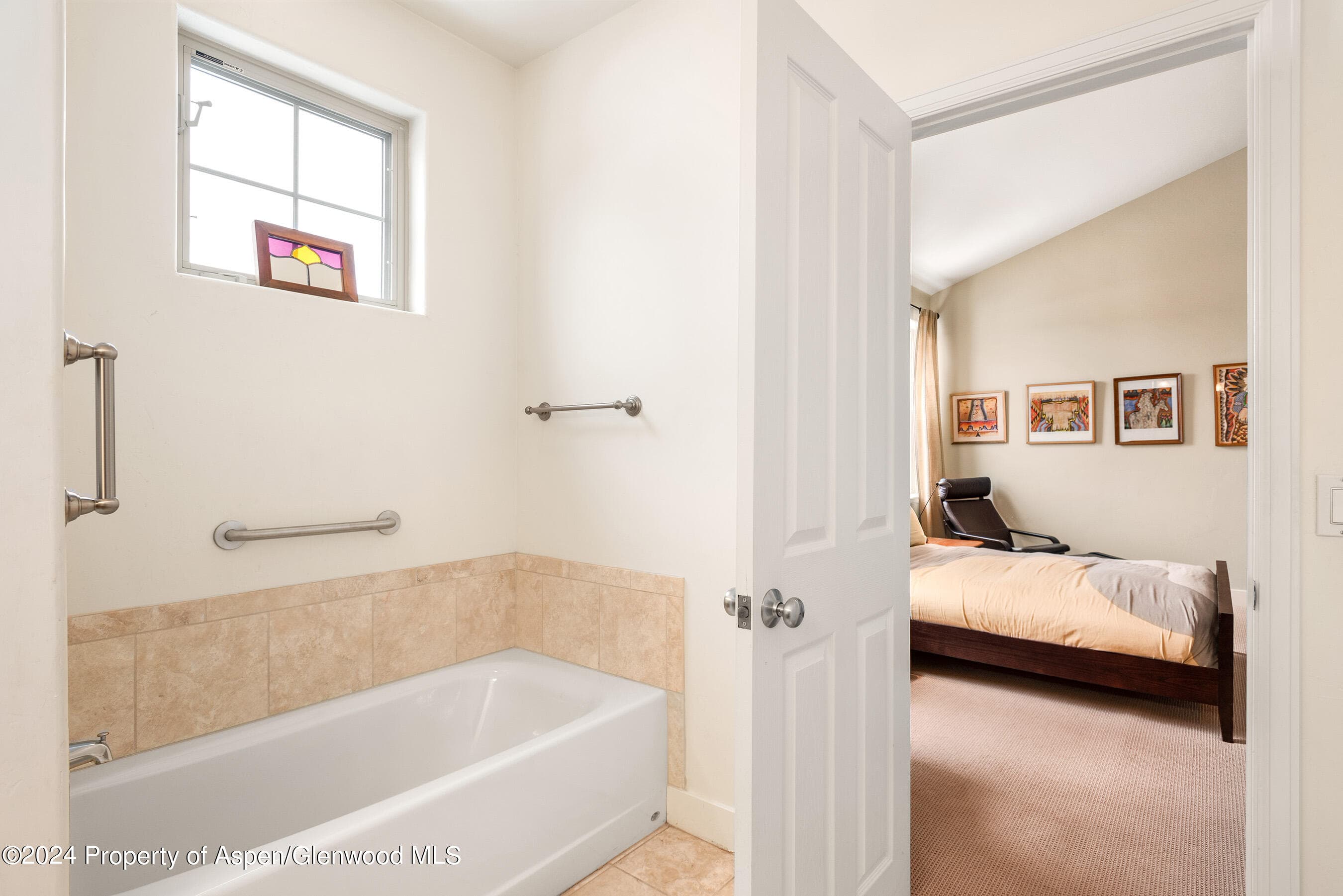 546 Evans Court, Basalt, CO 81621 - Photo 10