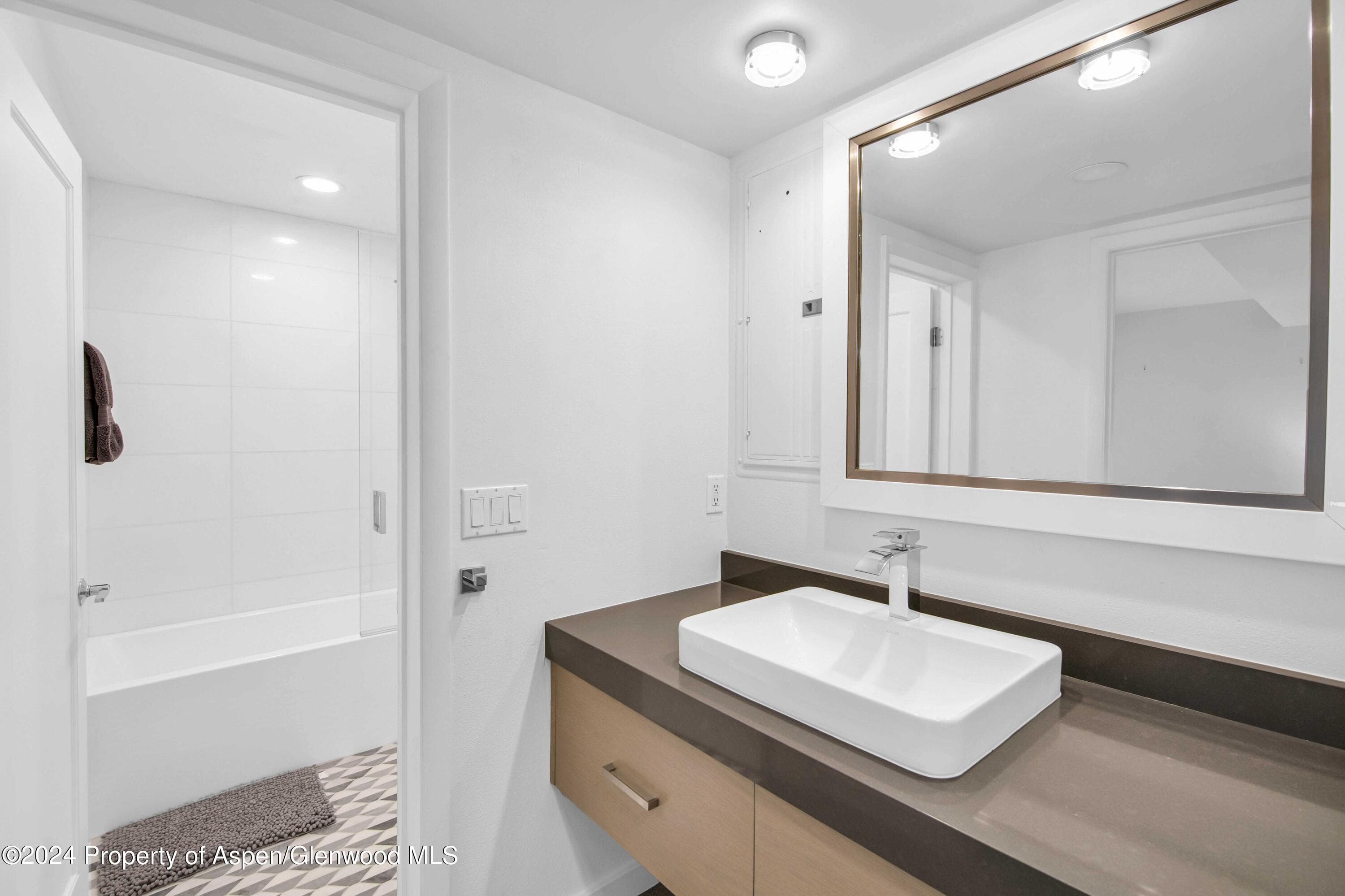 809 S Aspen Street 5&6, Aspen, CO 81611 - Photo 11
