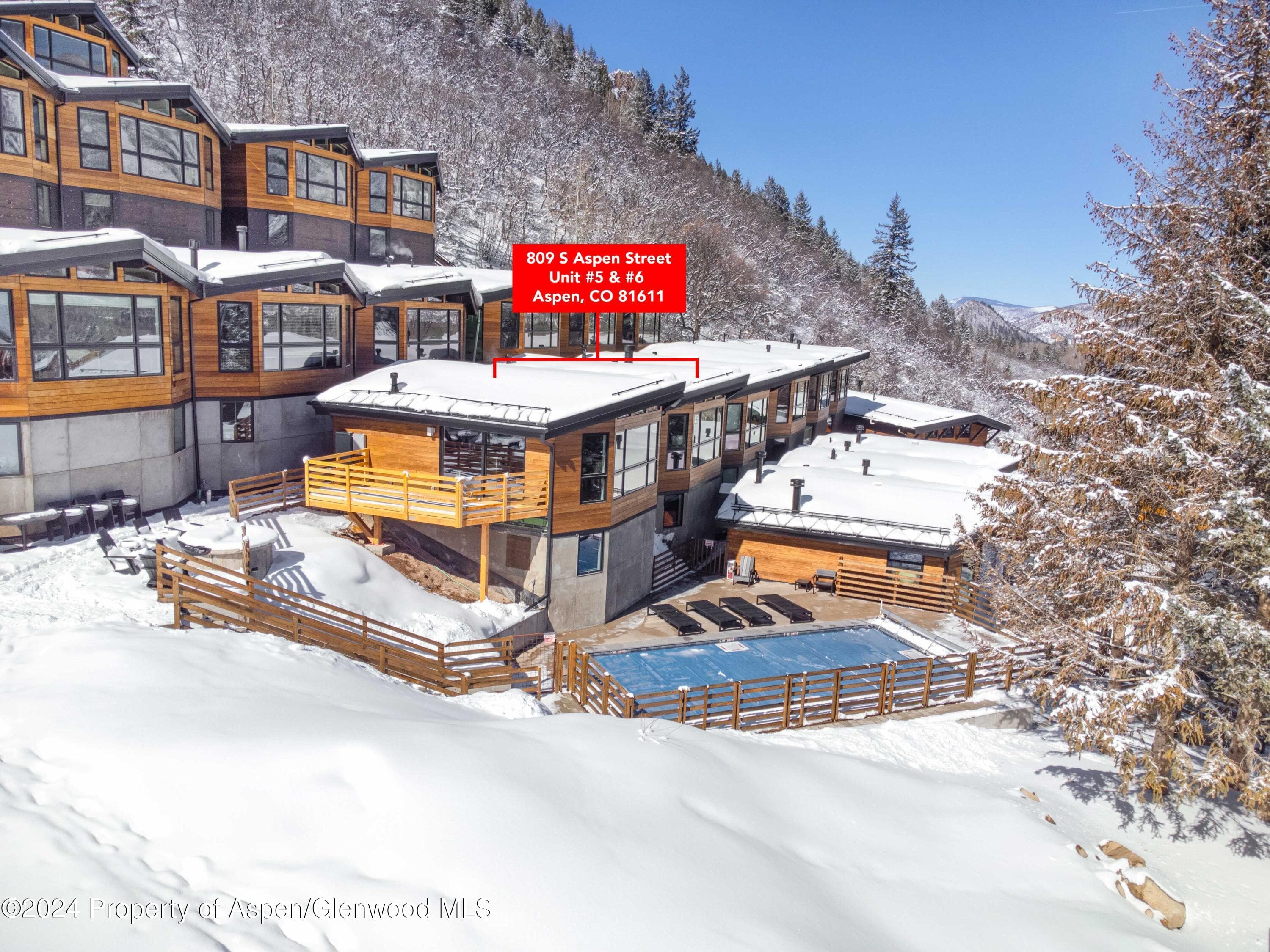 809 S Aspen Street 5&6, Aspen, CO 81611 - Photo 20