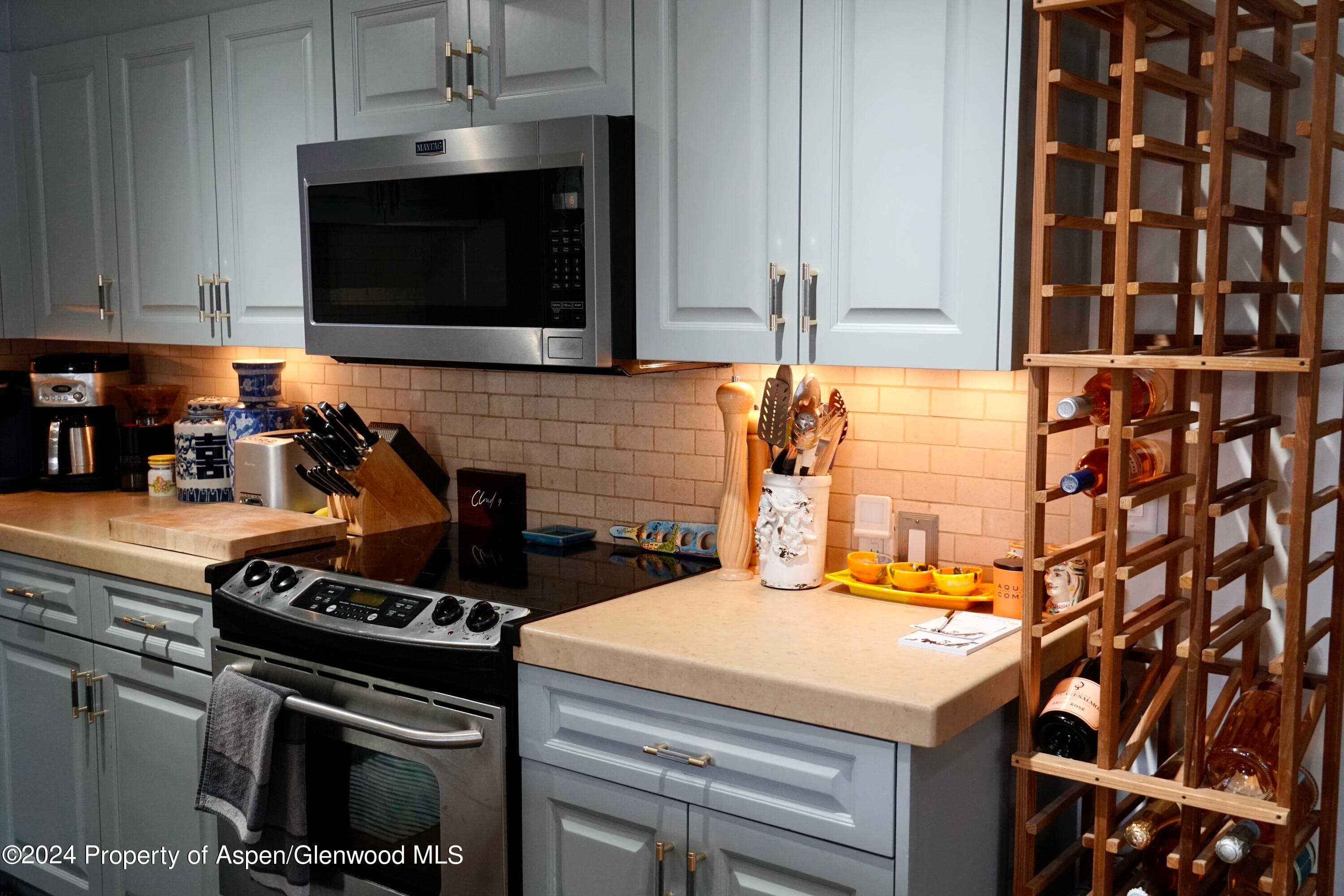 630 E Cooper Avenue 20, Aspen, CO 81611 - Photo 11