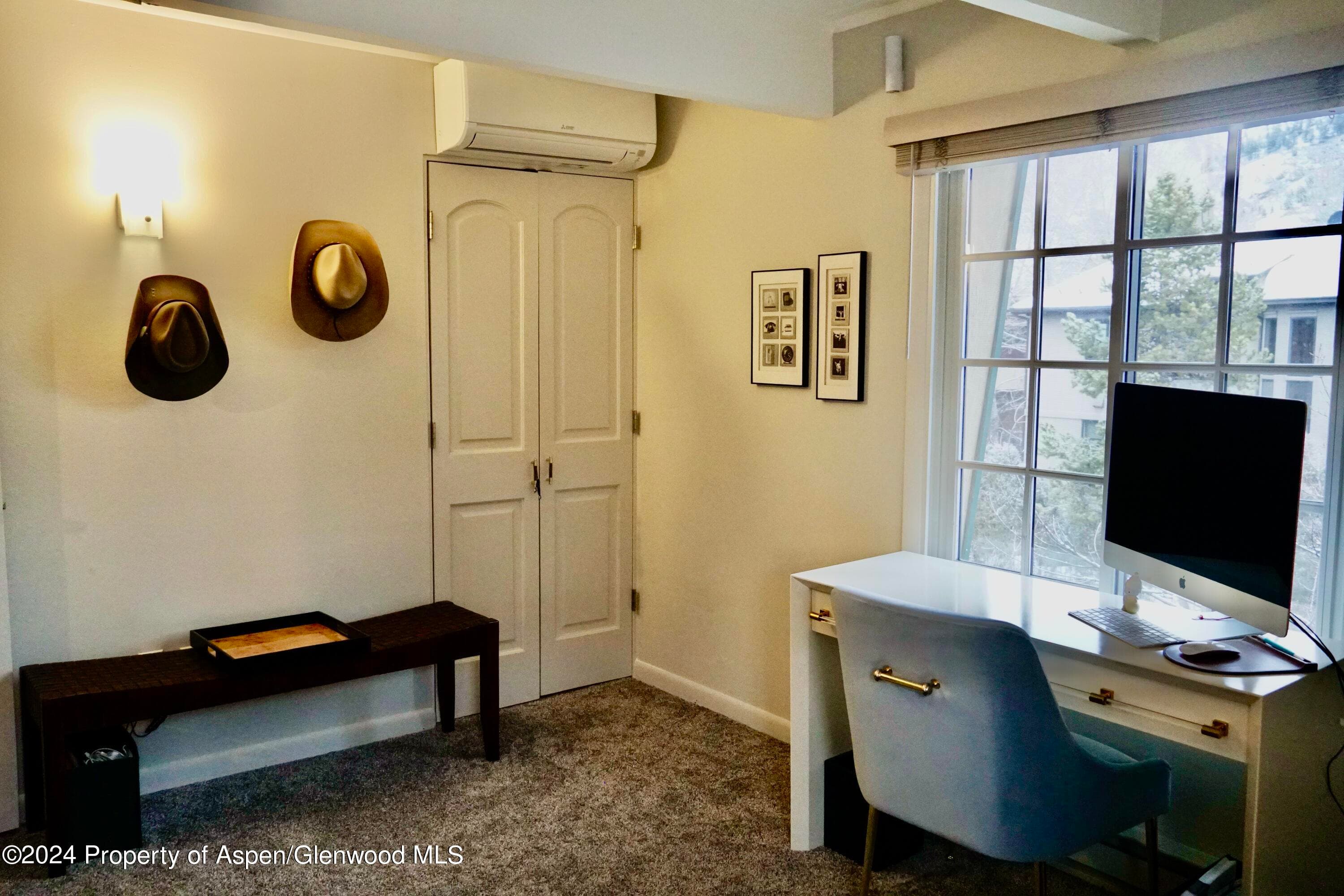 630 E Cooper Avenue 20, Aspen, CO 81611 - Photo 19