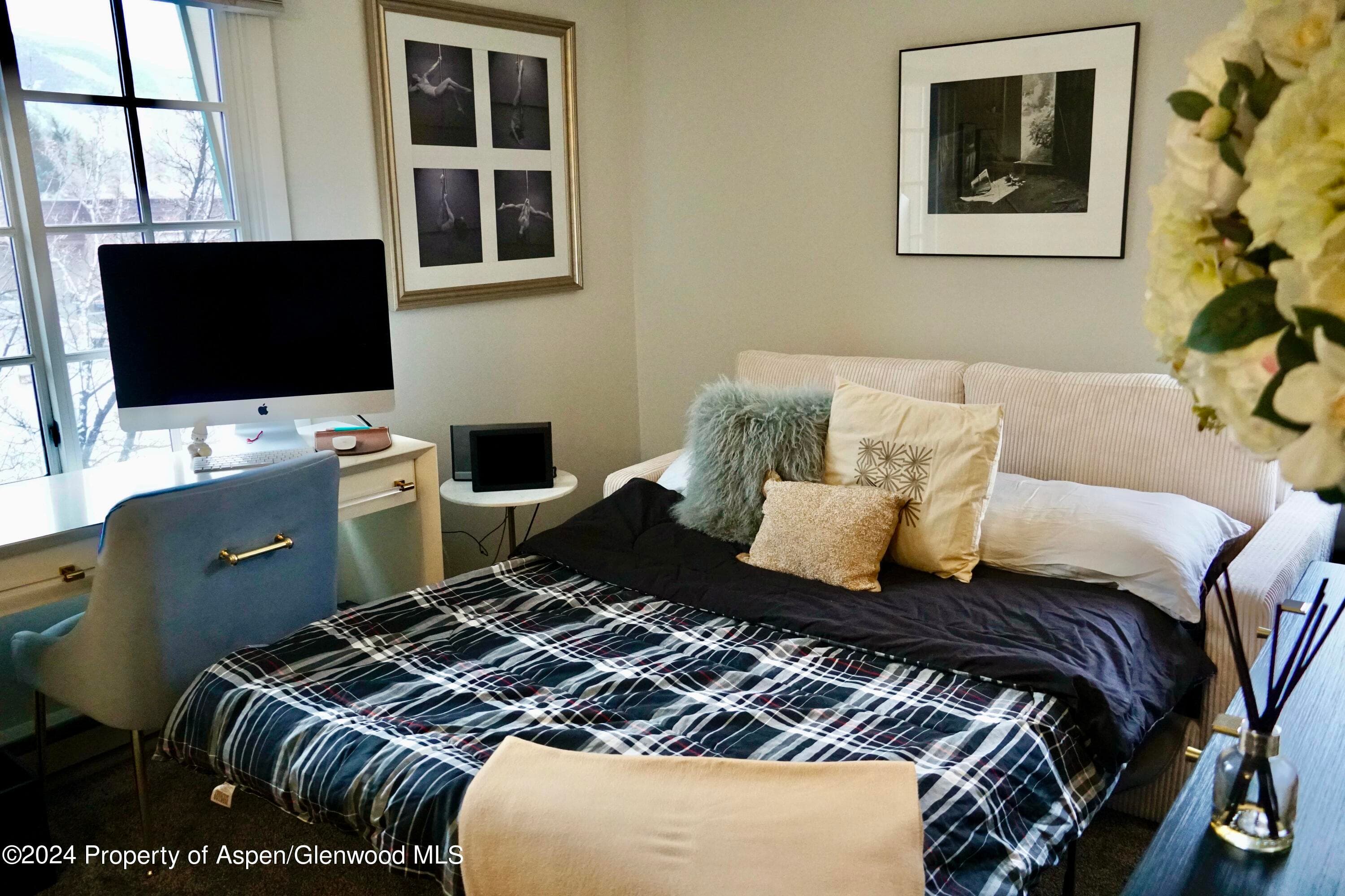 630 E Cooper Avenue 20, Aspen, CO 81611 - Photo 24
