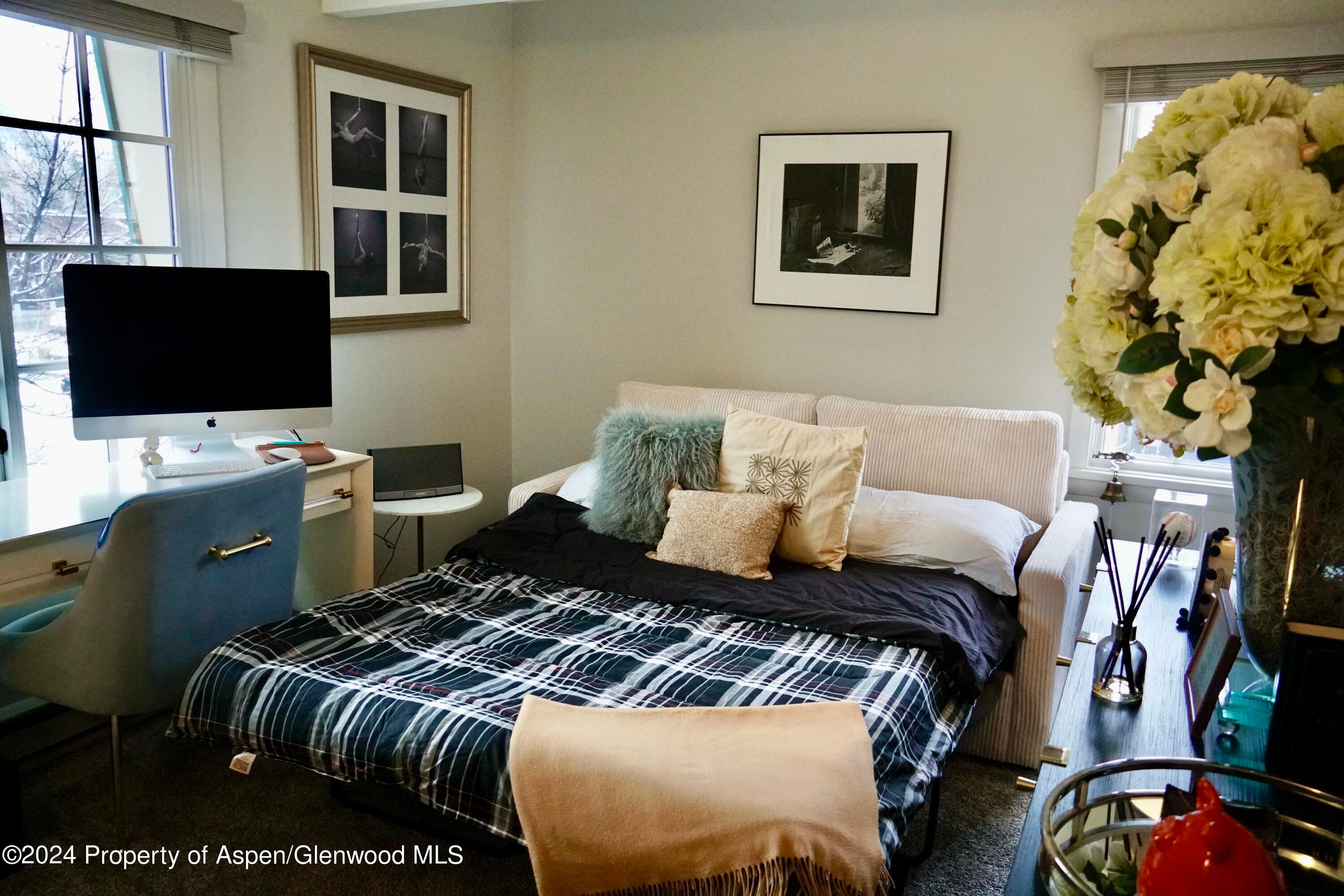 630 E Cooper Avenue 20, Aspen, CO 81611 - Photo 25