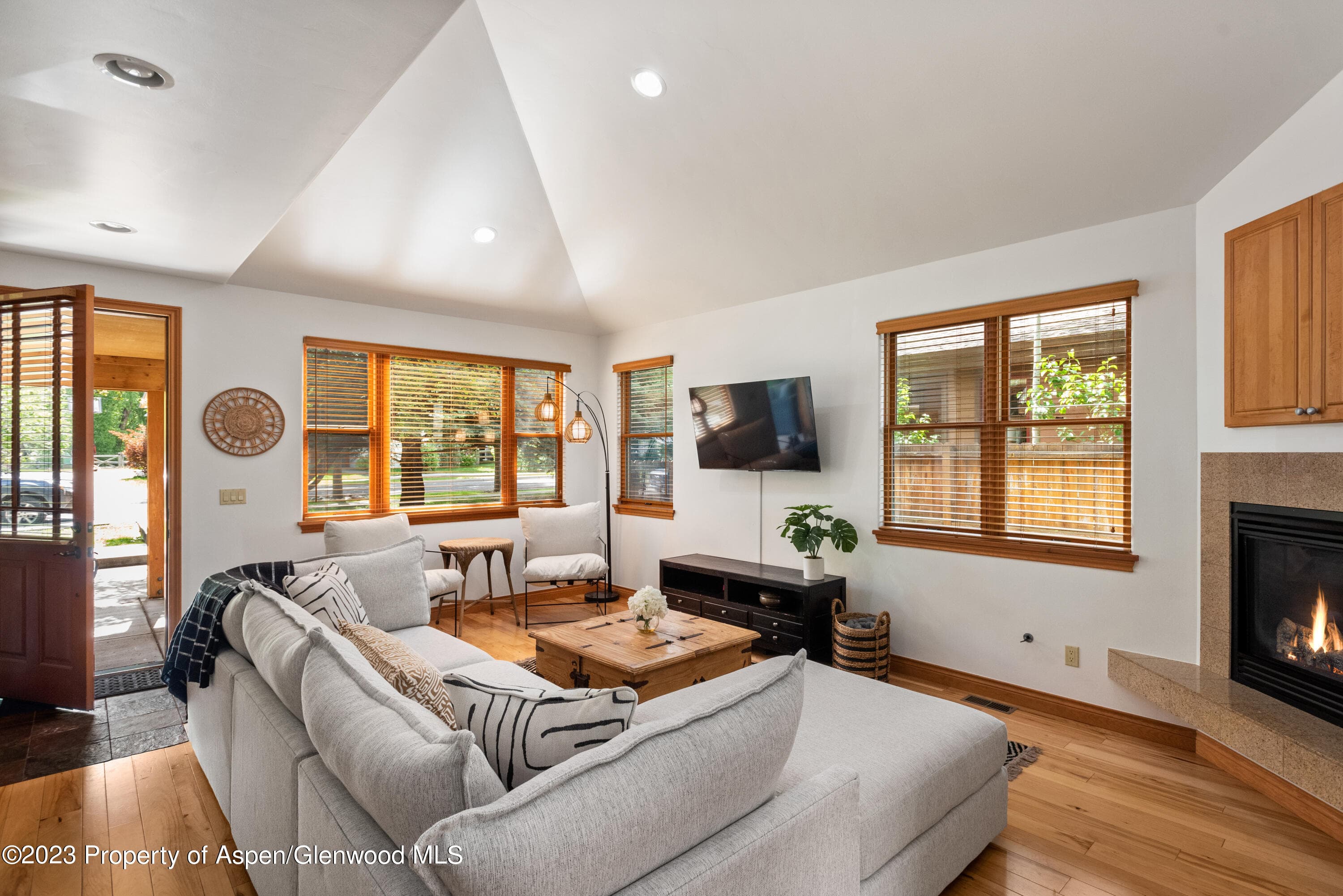 316 Allison Lane Lane B, Basalt, CO 81621 - Photo 5