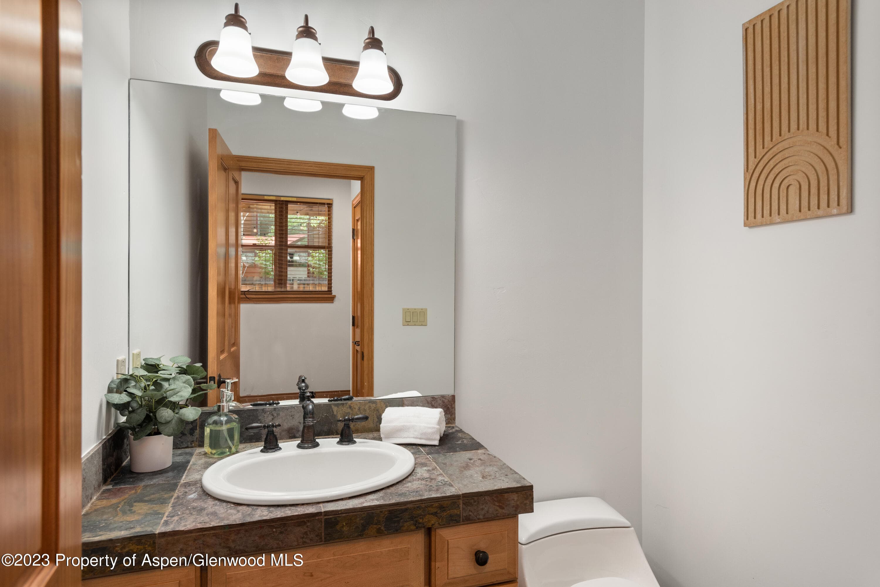 316 Allison Lane Lane B, Basalt, CO 81621 - Photo 12