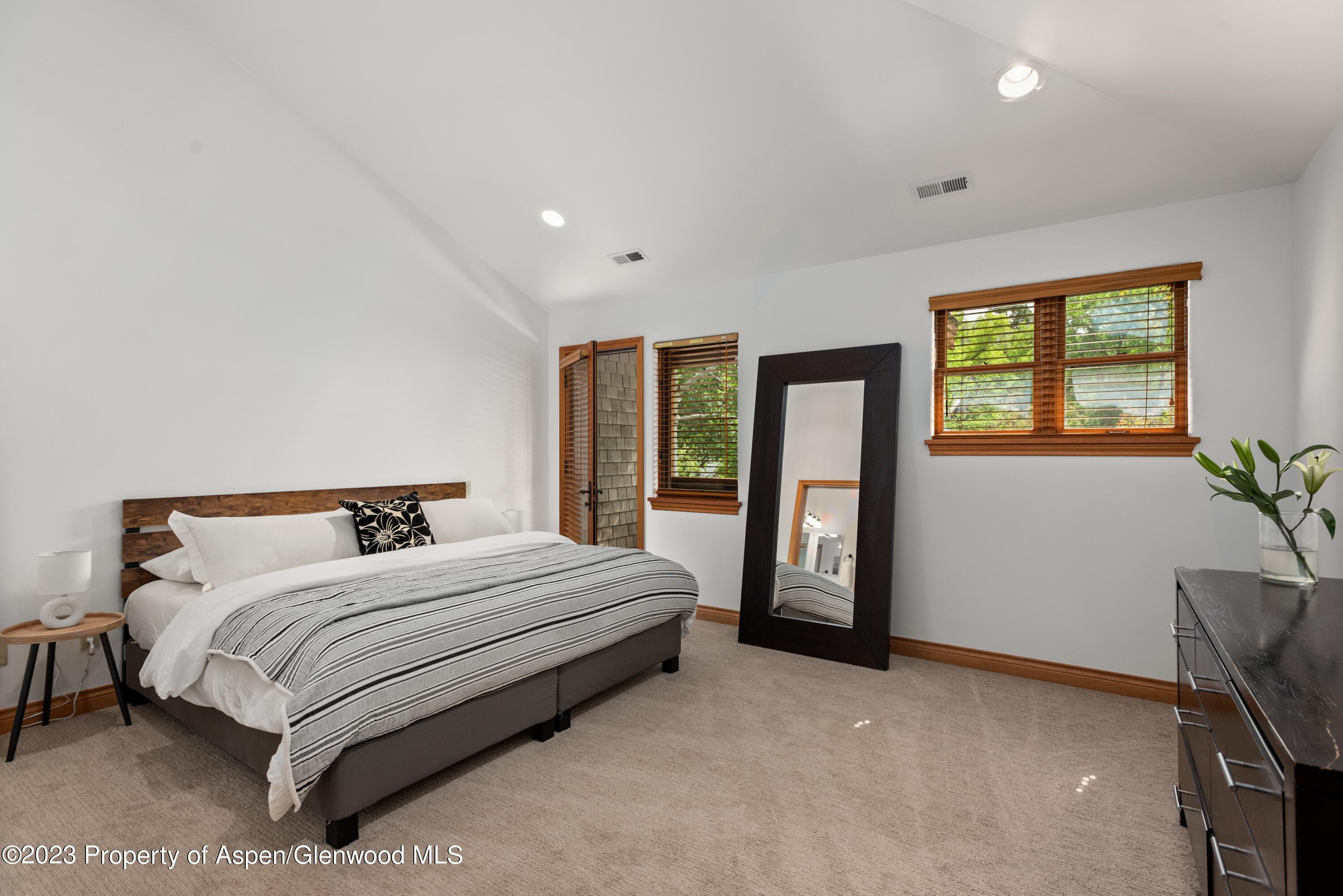 316 Allison Lane Lane B, Basalt, CO 81621 - Photo 14