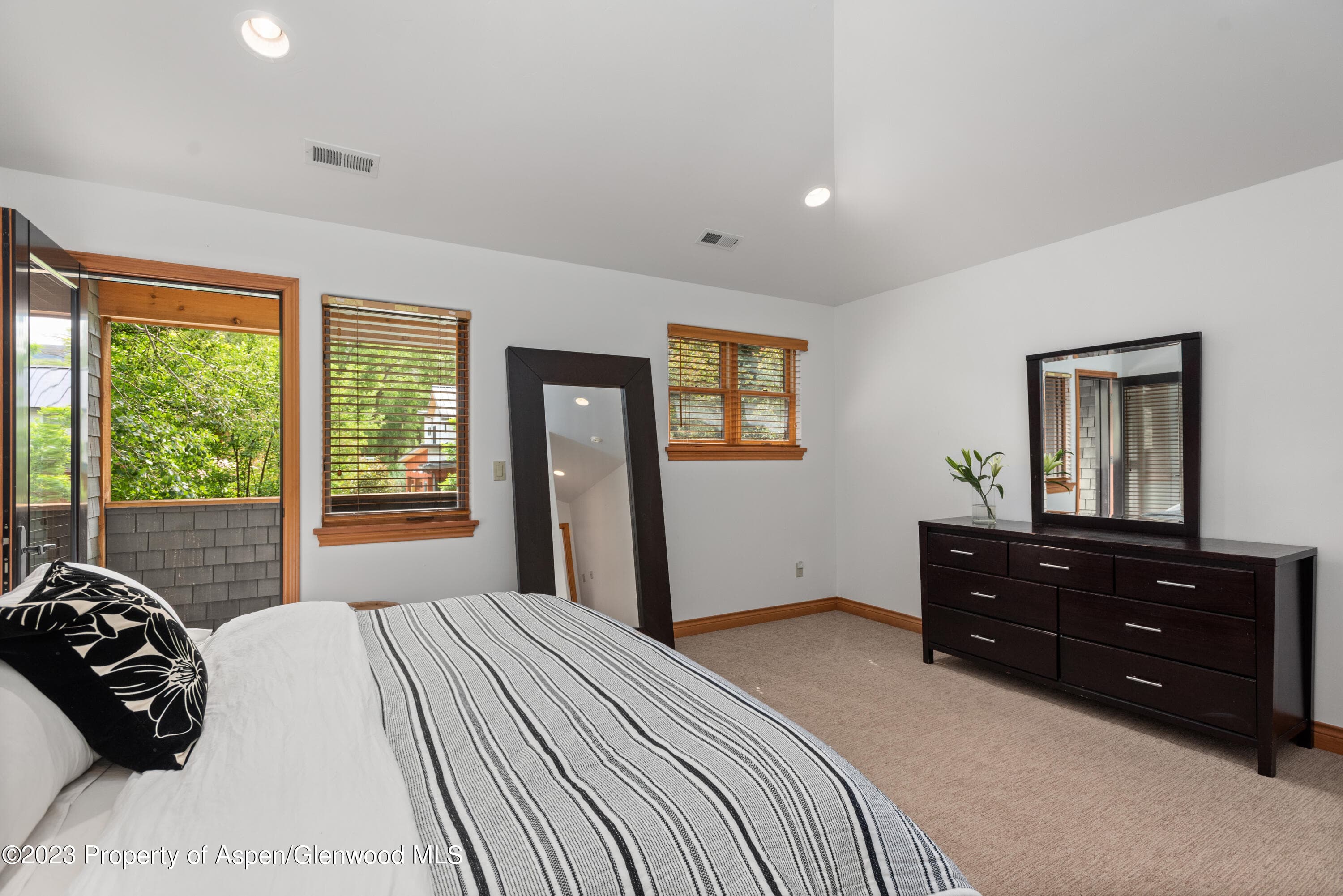 316 Allison Lane Lane B, Basalt, CO 81621 - Photo 17