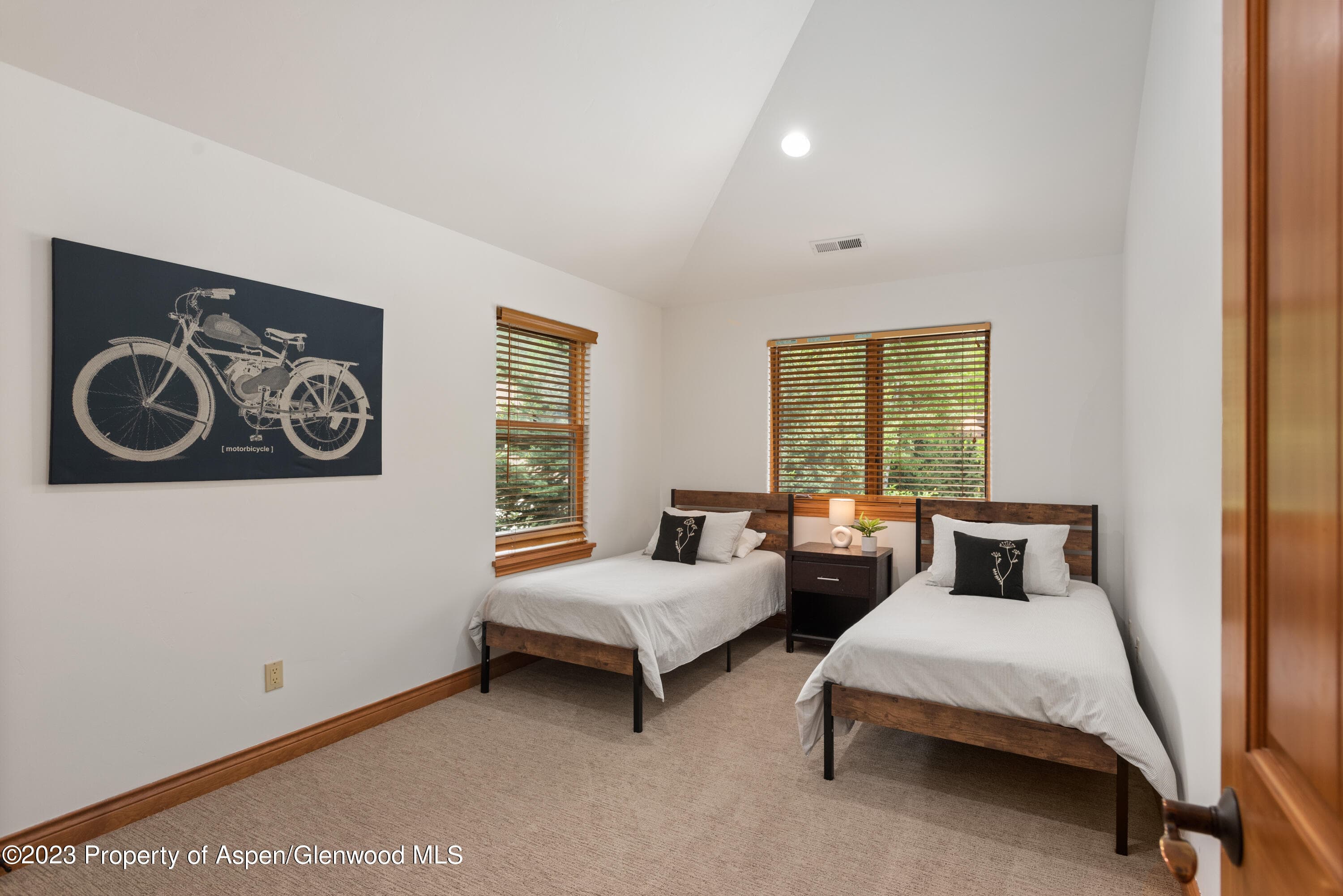 316 Allison Lane Lane B, Basalt, CO 81621 - Photo 19