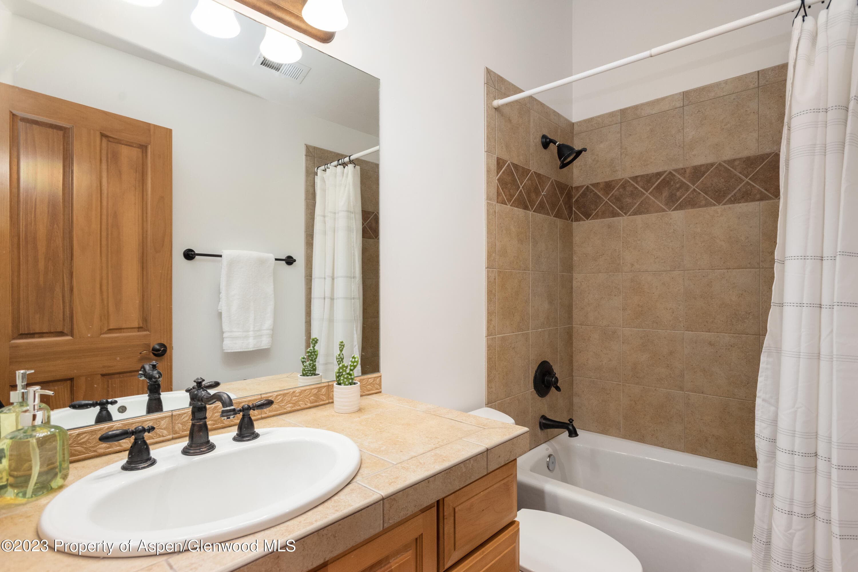 316 Allison Lane Lane B, Basalt, CO 81621 - Photo 20