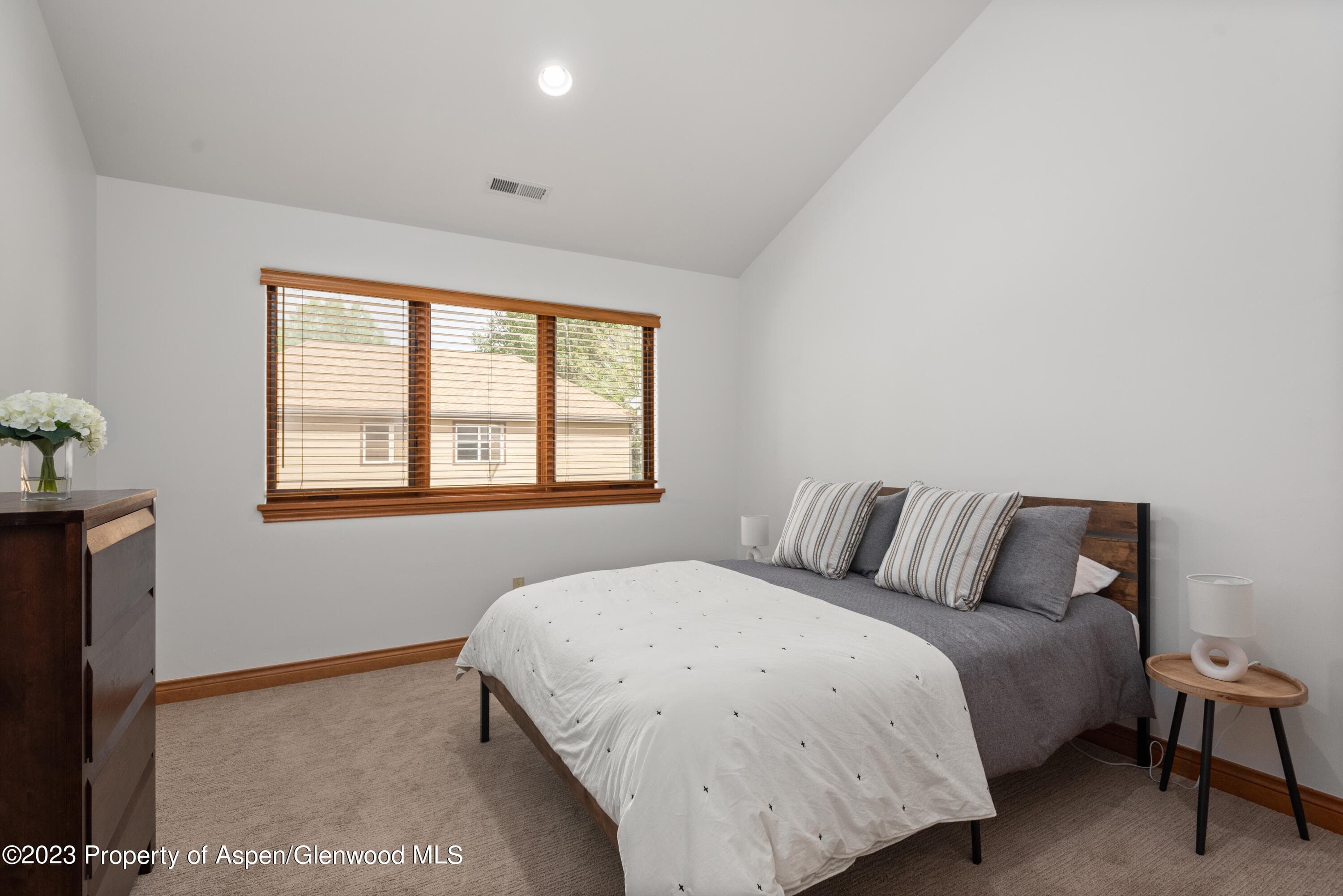 316 Allison Lane Lane B, Basalt, CO 81621 - Photo 21