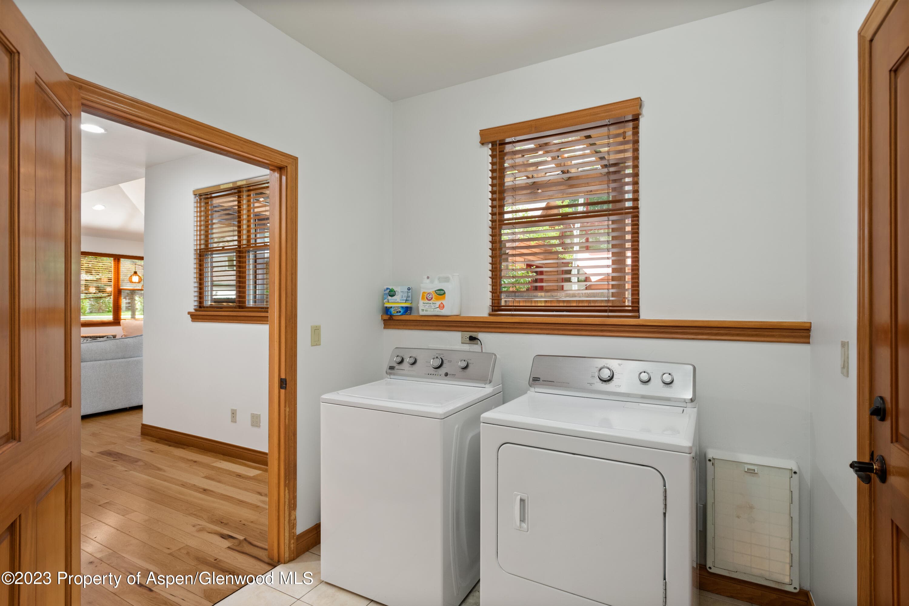 316 Allison Lane Lane B, Basalt, CO 81621 - Photo 22