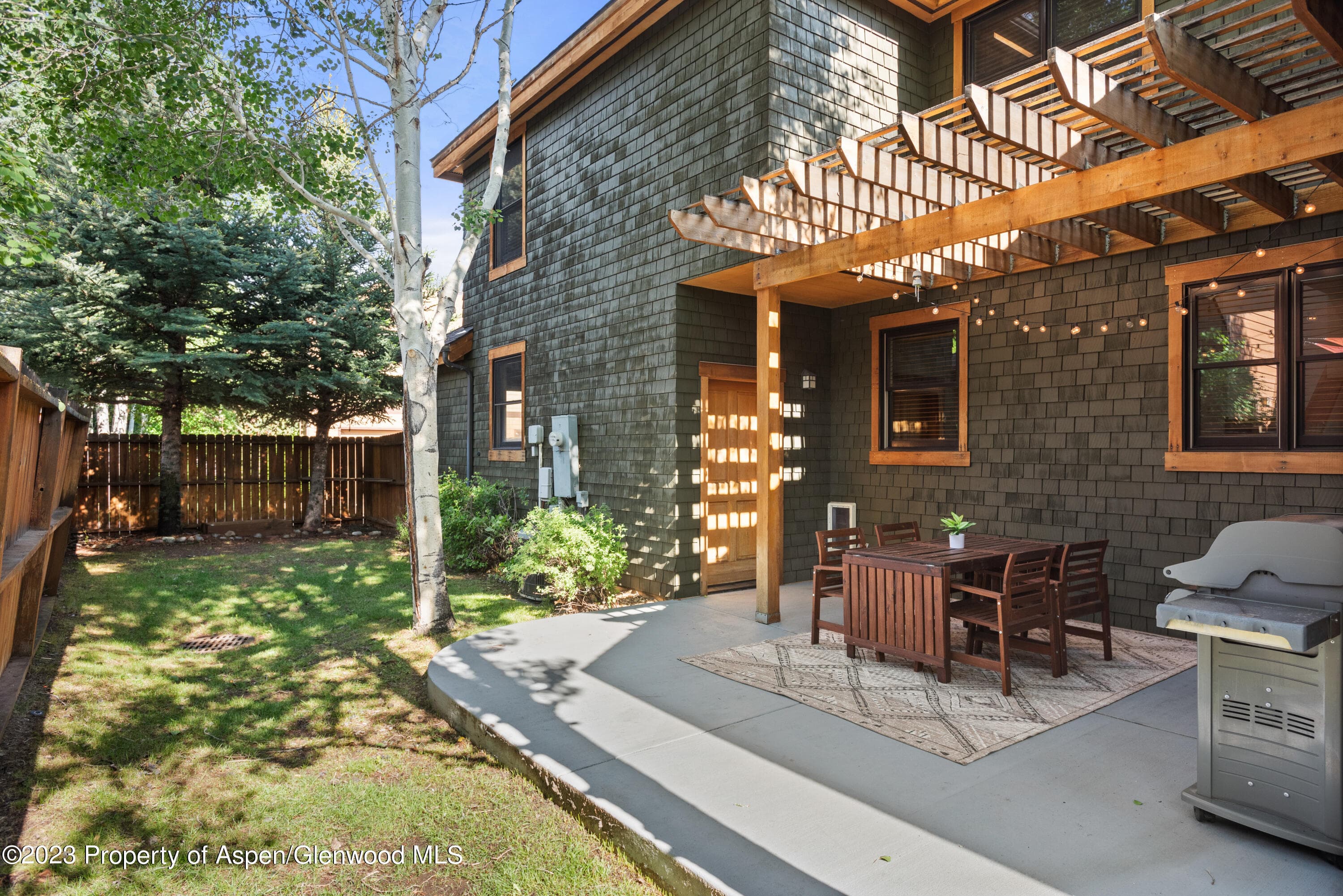316 Allison Lane Lane B, Basalt, CO 81621 - Photo 23