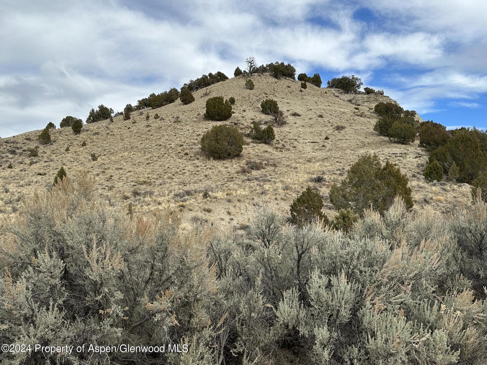 5050 County Road 53, Maybell, CO 81640 - Photo 21