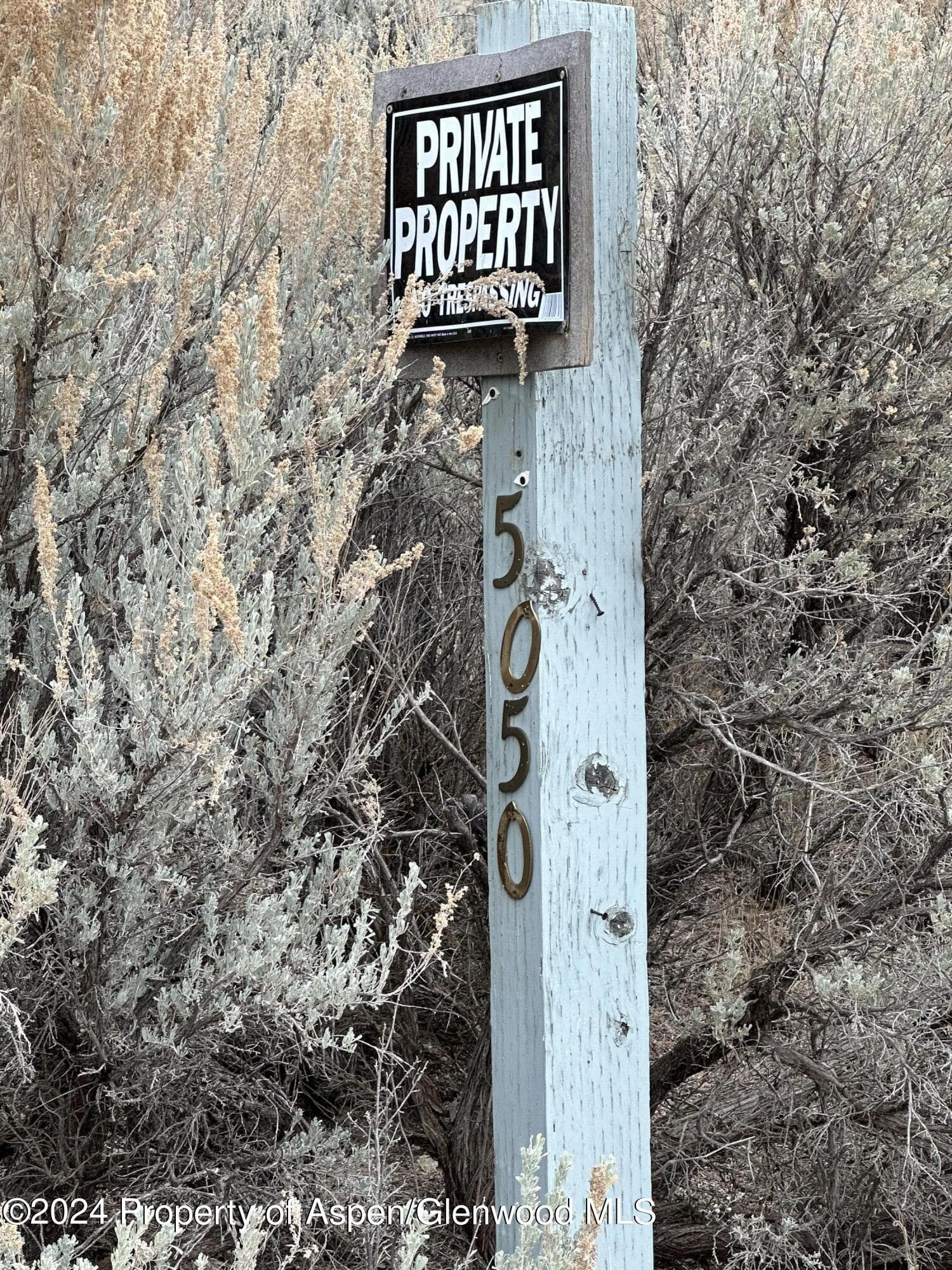 5050 County Road 53, Maybell, CO 81640 - Photo 2