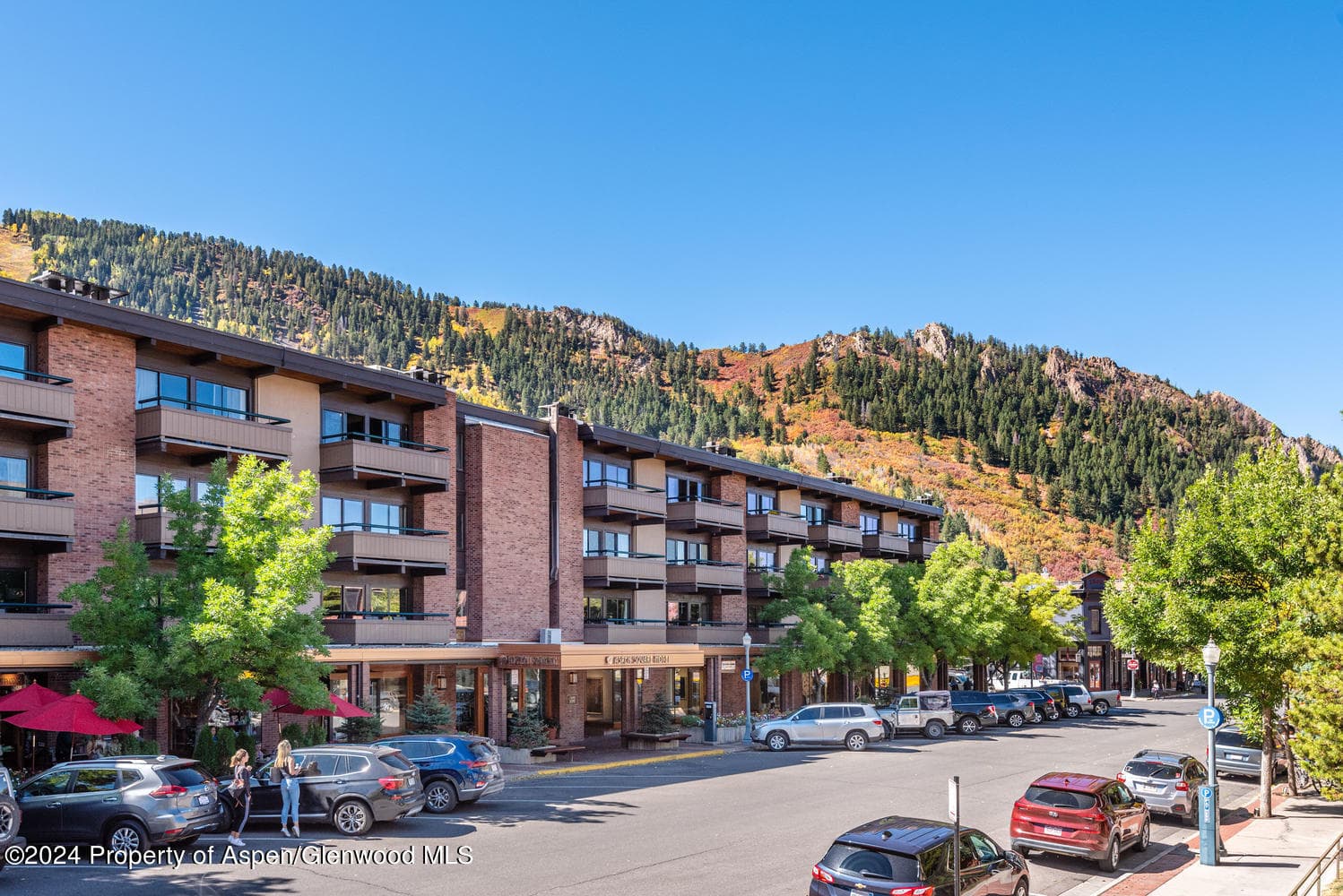 630 E Cooper Avenue 20, Aspen, CO 81611 - Photo 29