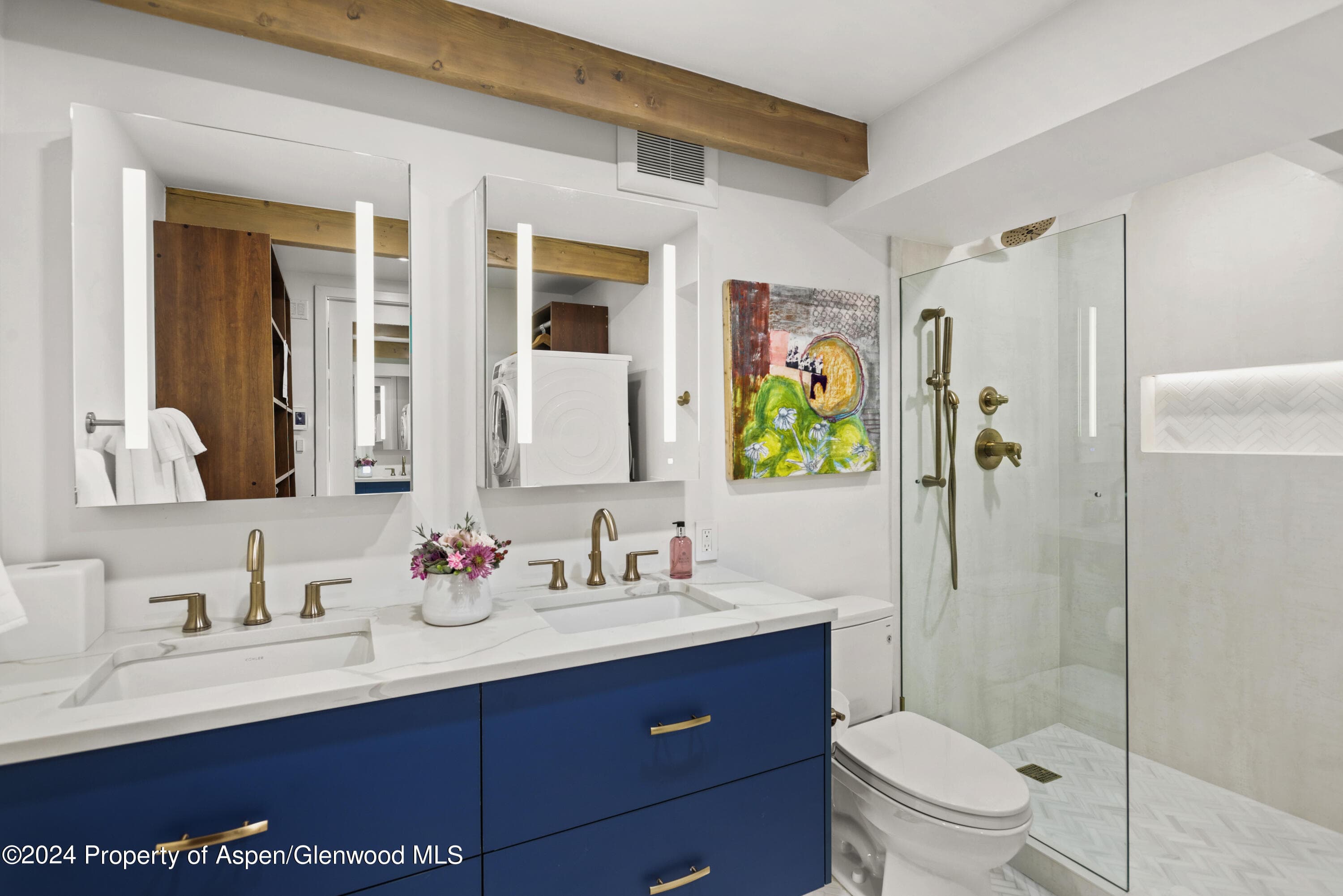 901 E Hyman Avenue 5, Aspen, CO 81611 - Photo 8