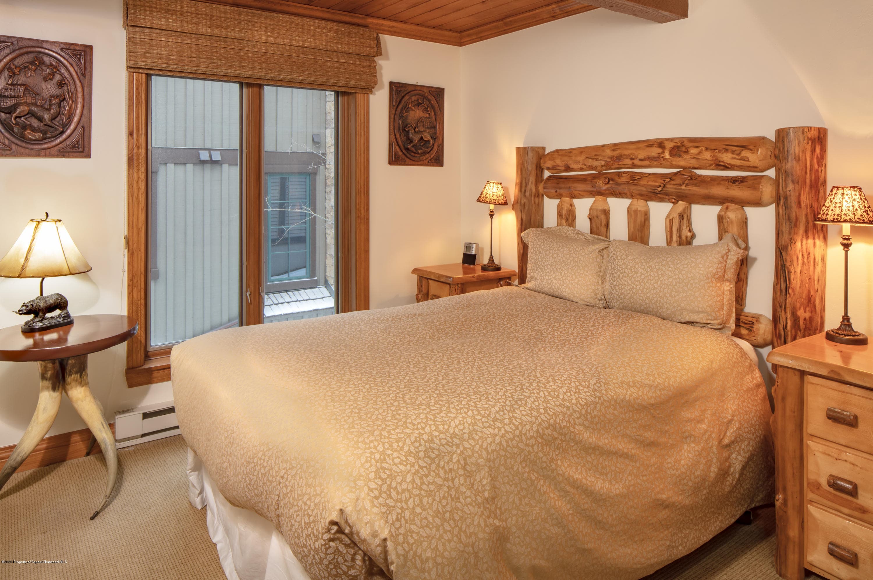 916 E Hopkins Avenue 104, Aspen, CO 81611 - Photo 10