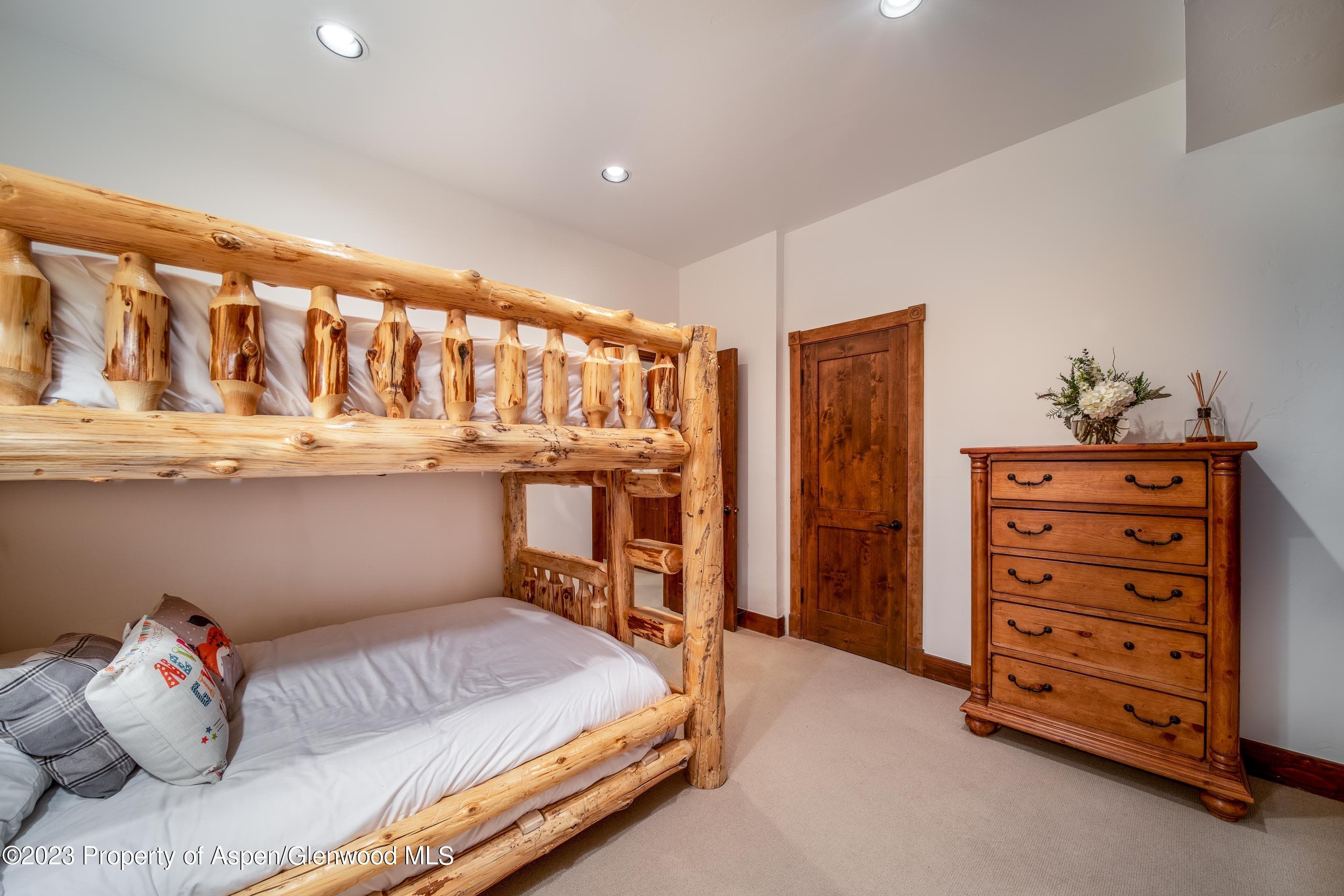 503 W Main Street B101, Aspen, CO 81611 - Photo 15