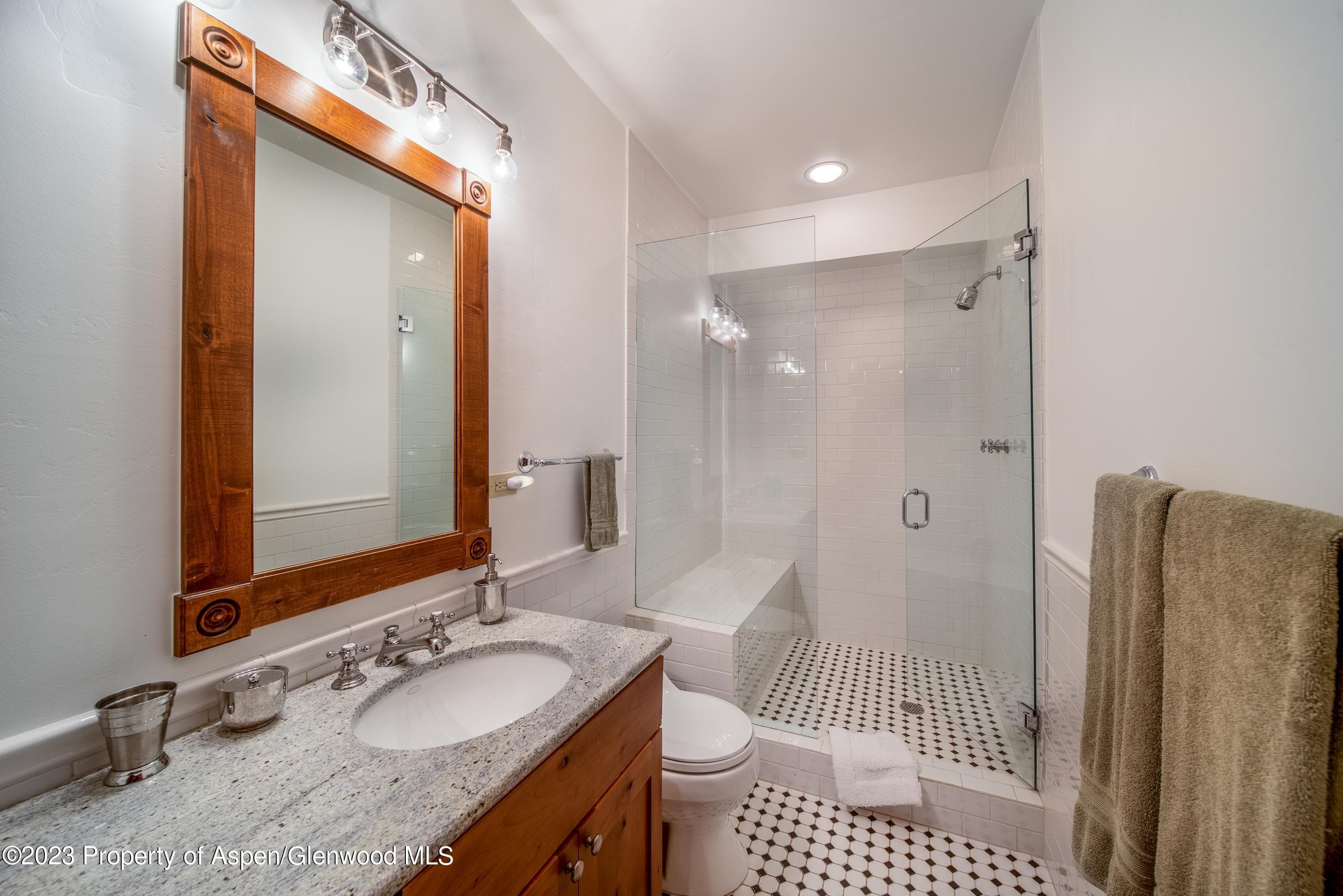 503 W Main Street B101, Aspen, CO 81611 - Photo 16