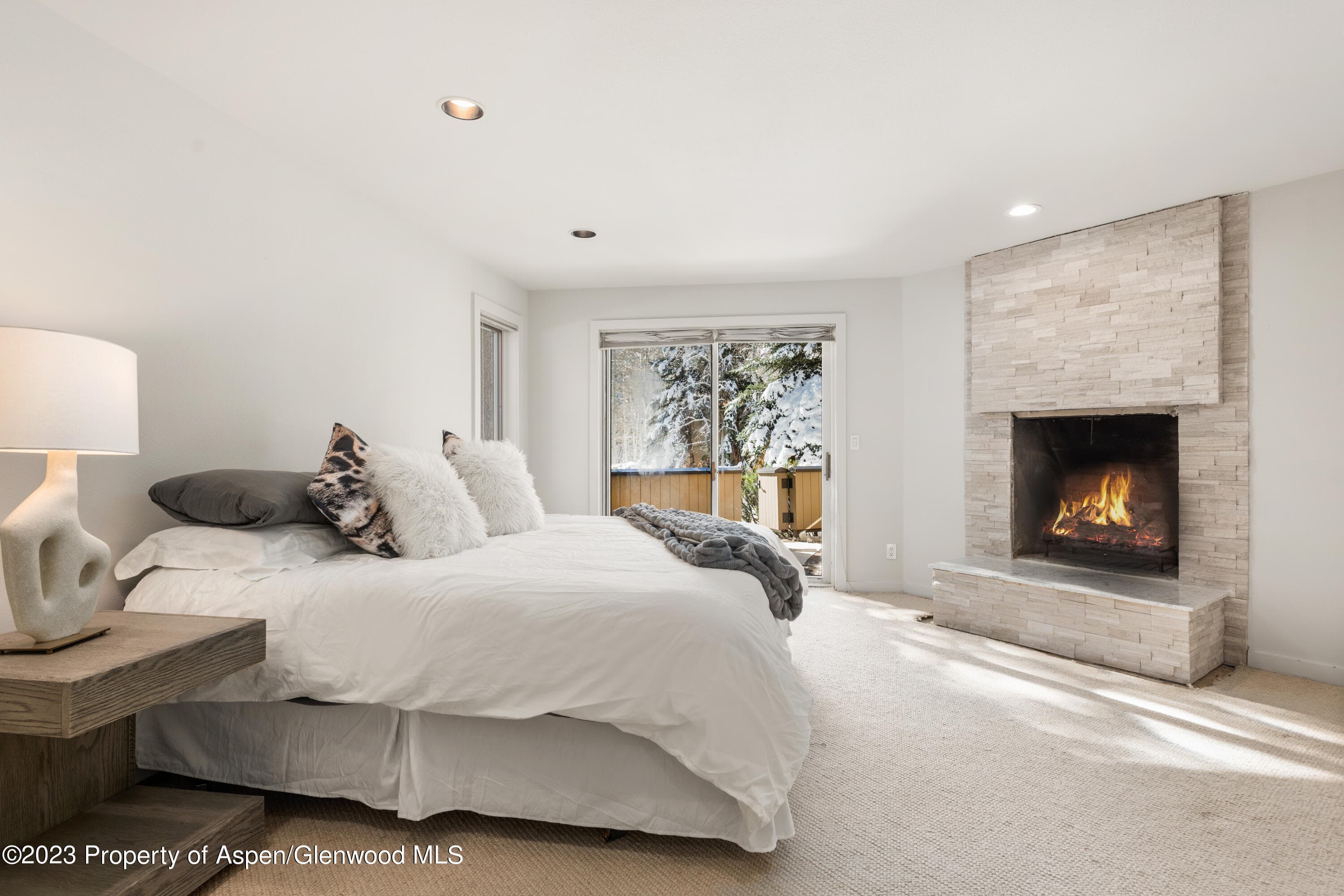 1436 Crystal Lake Road 4B, Aspen, CO 81611 - Photo 15
