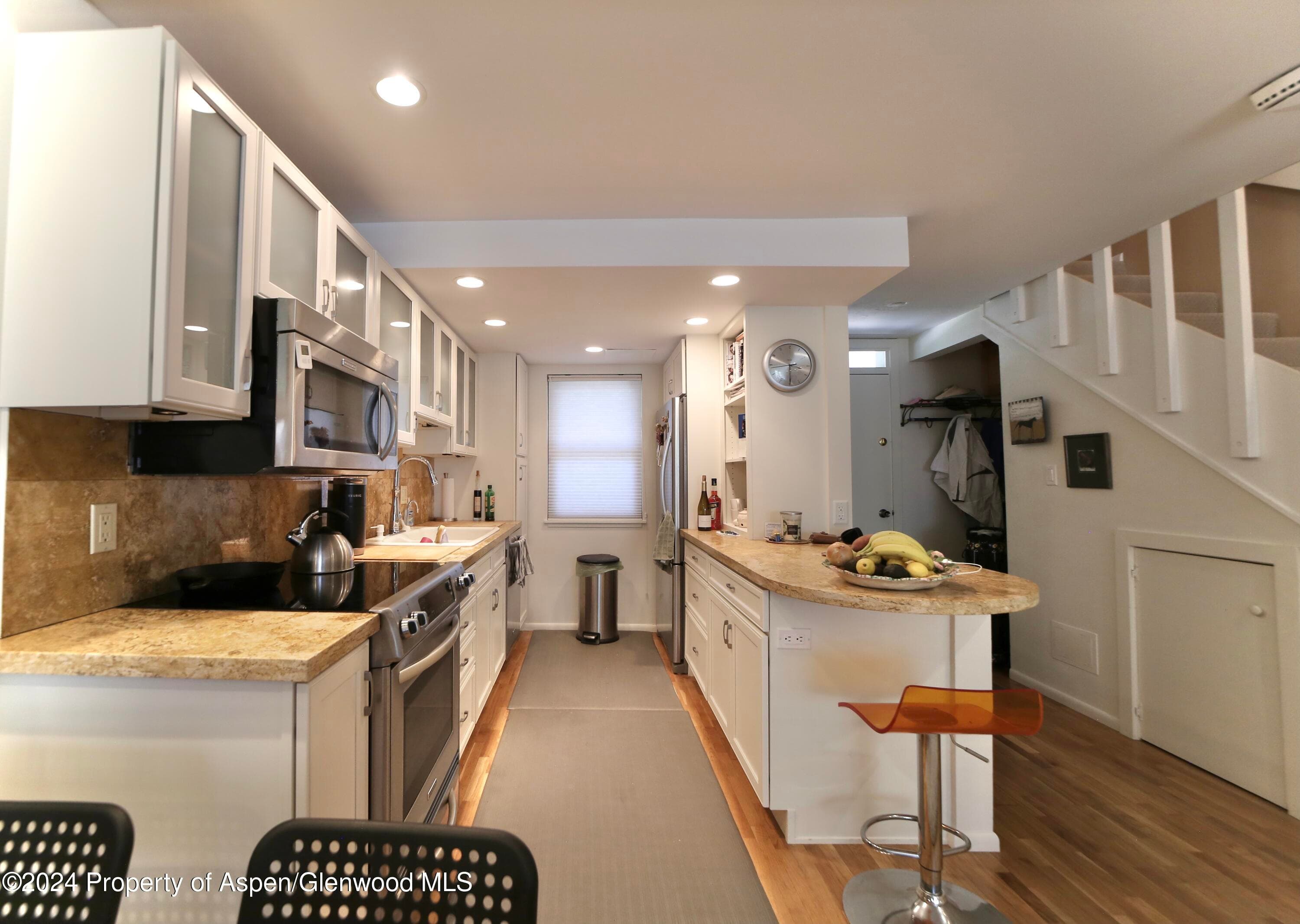 1007 E Hyman Avenue 6, Aspen, CO 81611 - Photo 4