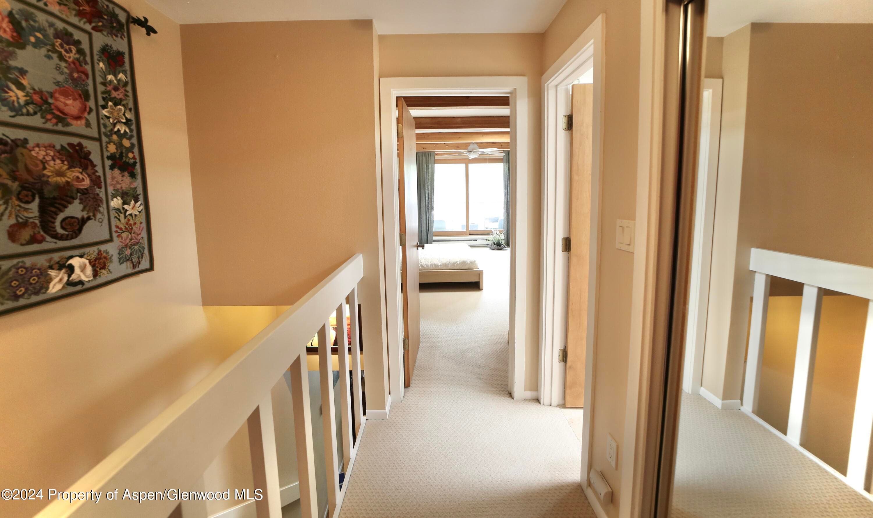 1007 E Hyman Avenue 6, Aspen, CO 81611 - Photo 10