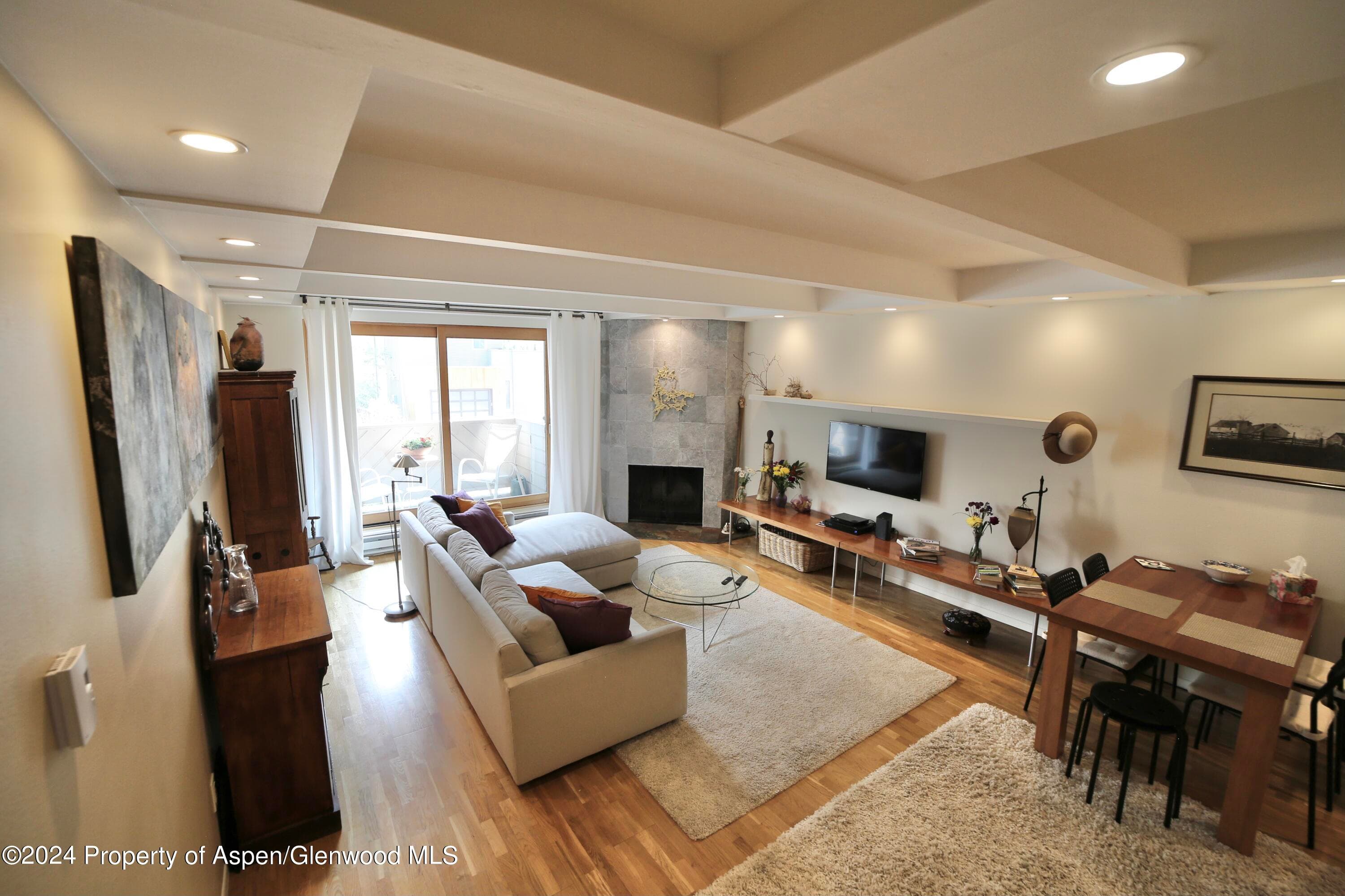 1007 E Hyman Avenue 6, Aspen, CO 81611 - Photo 6