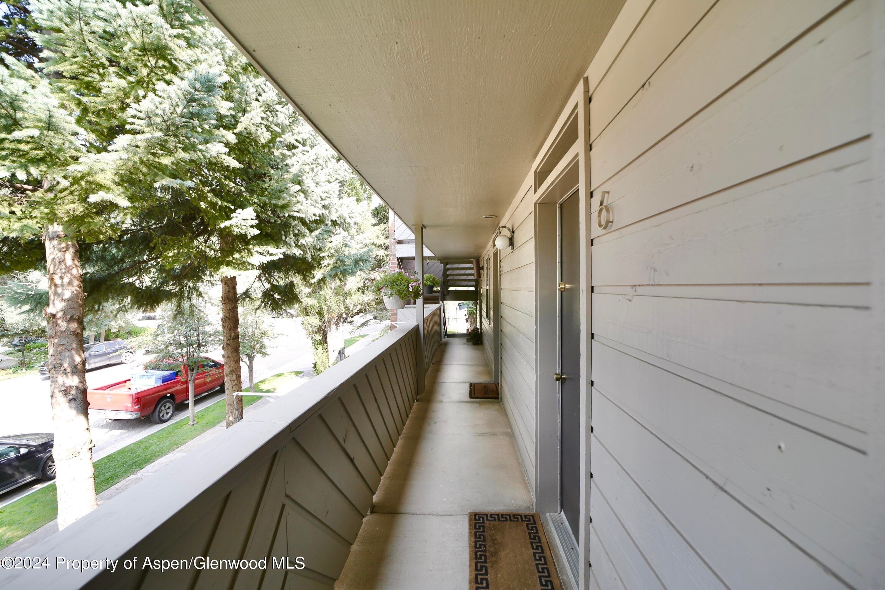 1007 E Hyman Avenue 6, Aspen, CO 81611 - Photo 17