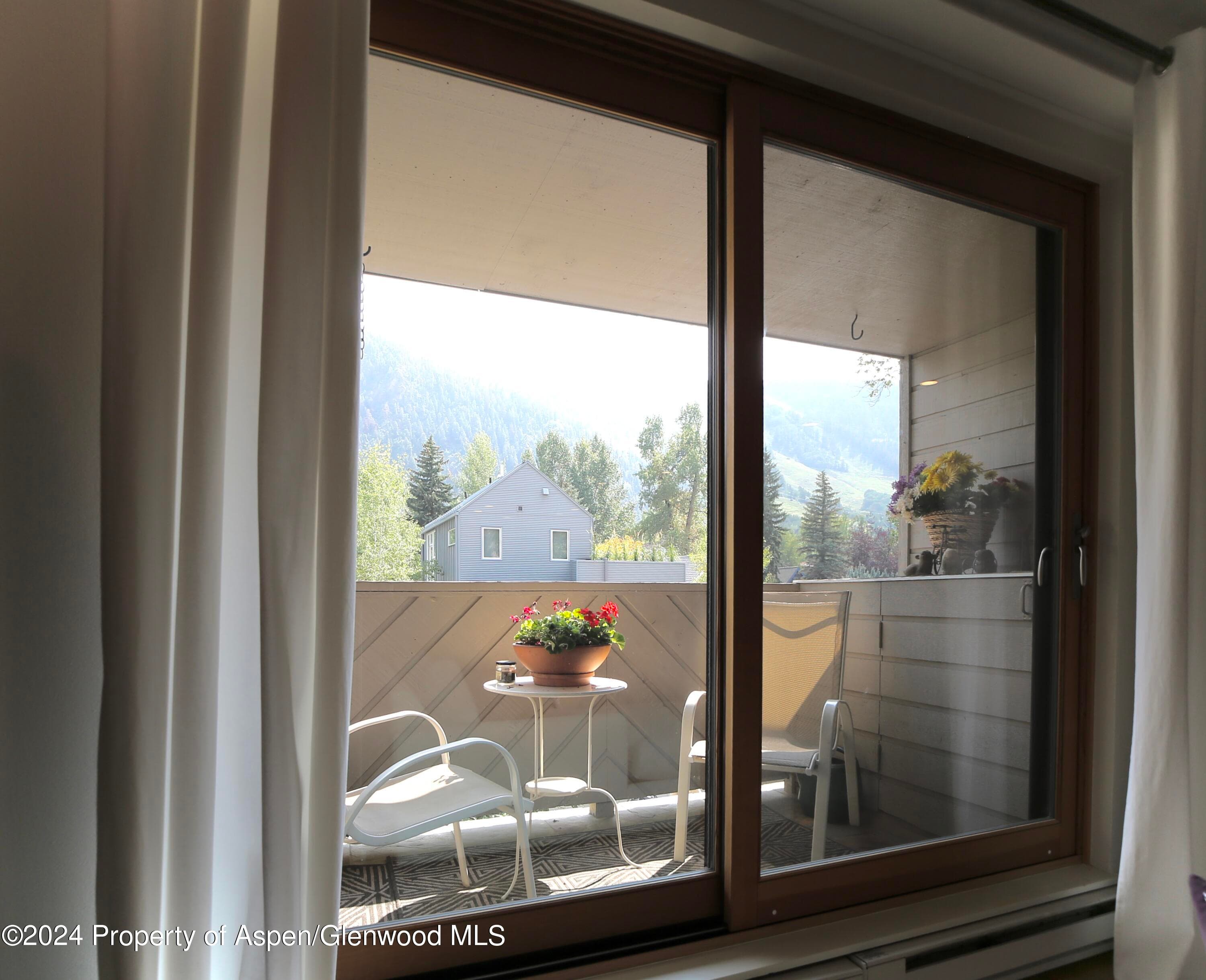 1007 E Hyman Avenue 6, Aspen, CO 81611 - Photo 8