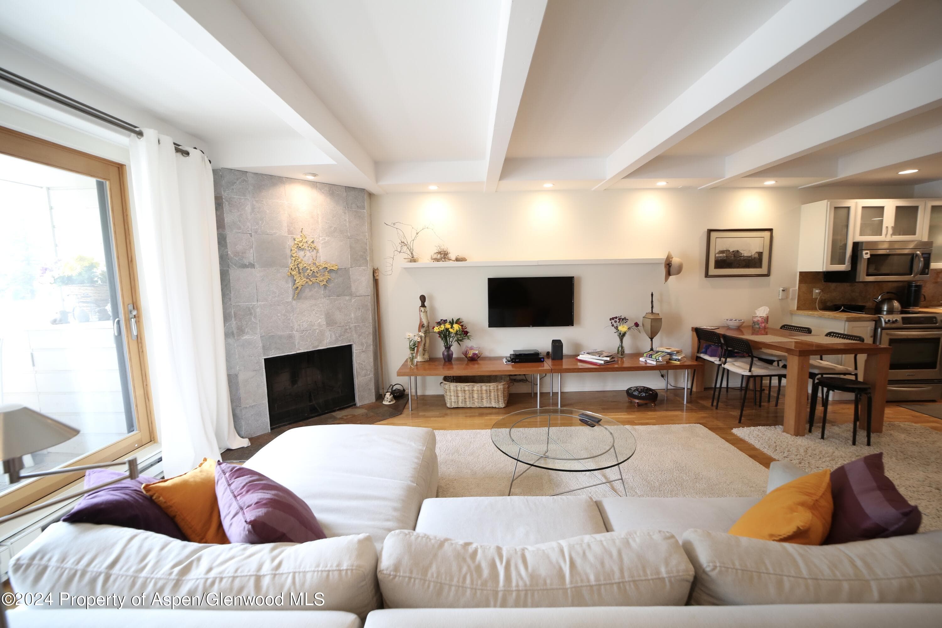 1007 E Hyman Avenue 6, Aspen, CO 81611 - Photo 9