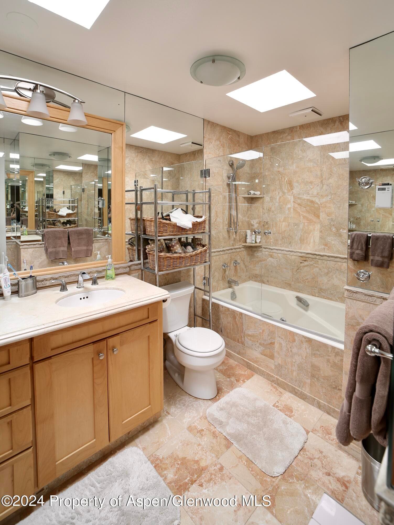 1007 E Hyman Avenue 6, Aspen, CO 81611 - Photo 16