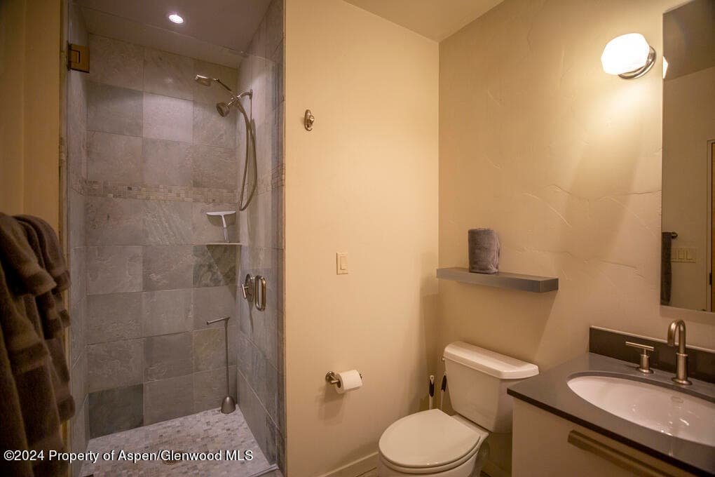 231 Robinson Street 330, Basalt, CO 81621 - Photo 30