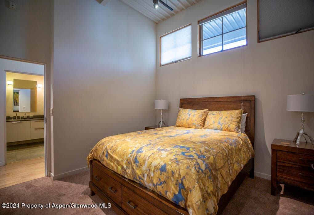 231 Robinson Street 330, Basalt, CO 81621 - Photo 15