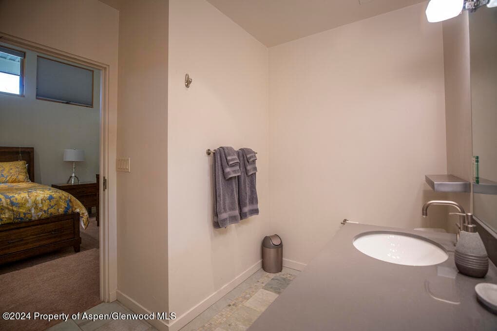 231 Robinson Street 330, Basalt, CO 81621 - Photo 16