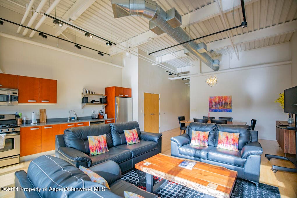 231 Robinson Street 330, Basalt, CO 81621 - Photo 10