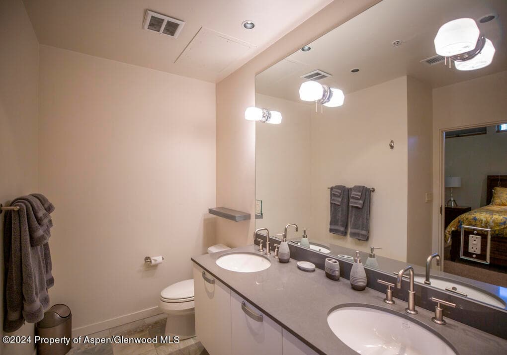 231 Robinson Street 330, Basalt, CO 81621 - Photo 21
