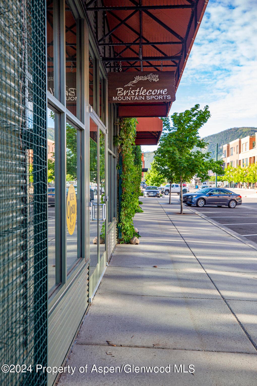 231 Robinson Street 330, Basalt, CO 81621 - Photo 33