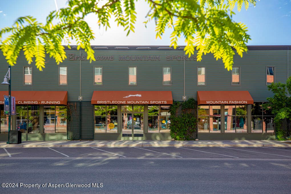 231 Robinson Street 330, Basalt, CO 81621 - Photo 35