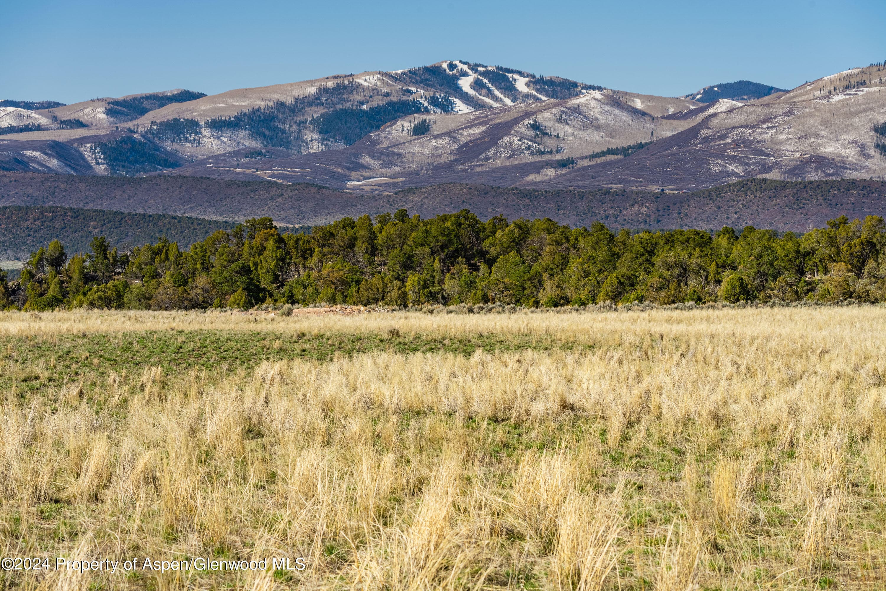 2777 ELK SPRINGS Drive, Glenwood Springs, CO 81601 - Photo 10