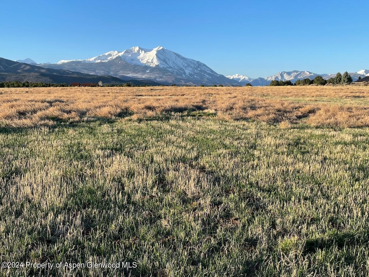 TBD County Road 100, Carbondale, CO 81623 - Photo 8