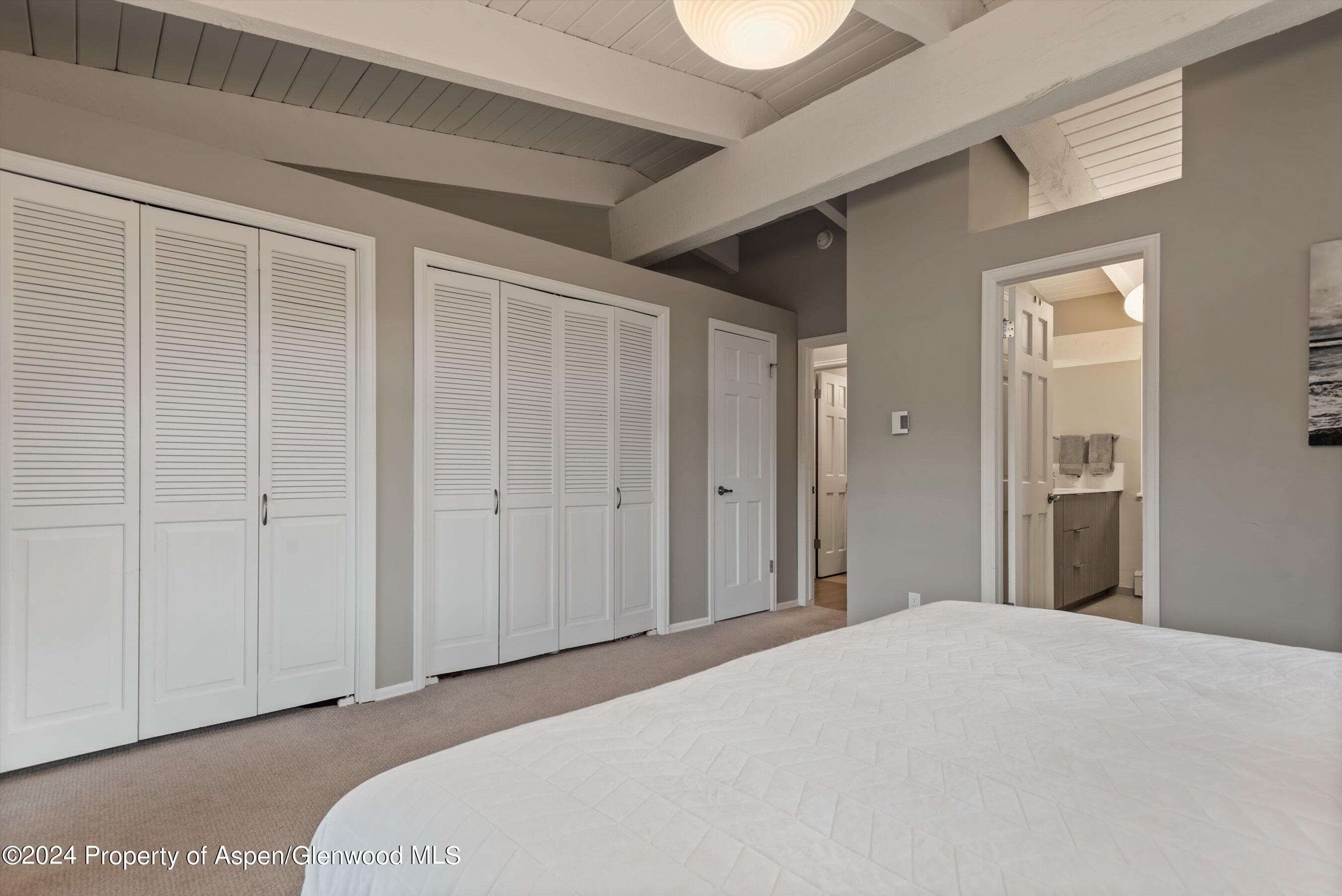 1650 Homestake Drive, Aspen, CO 81611 - Photo 12