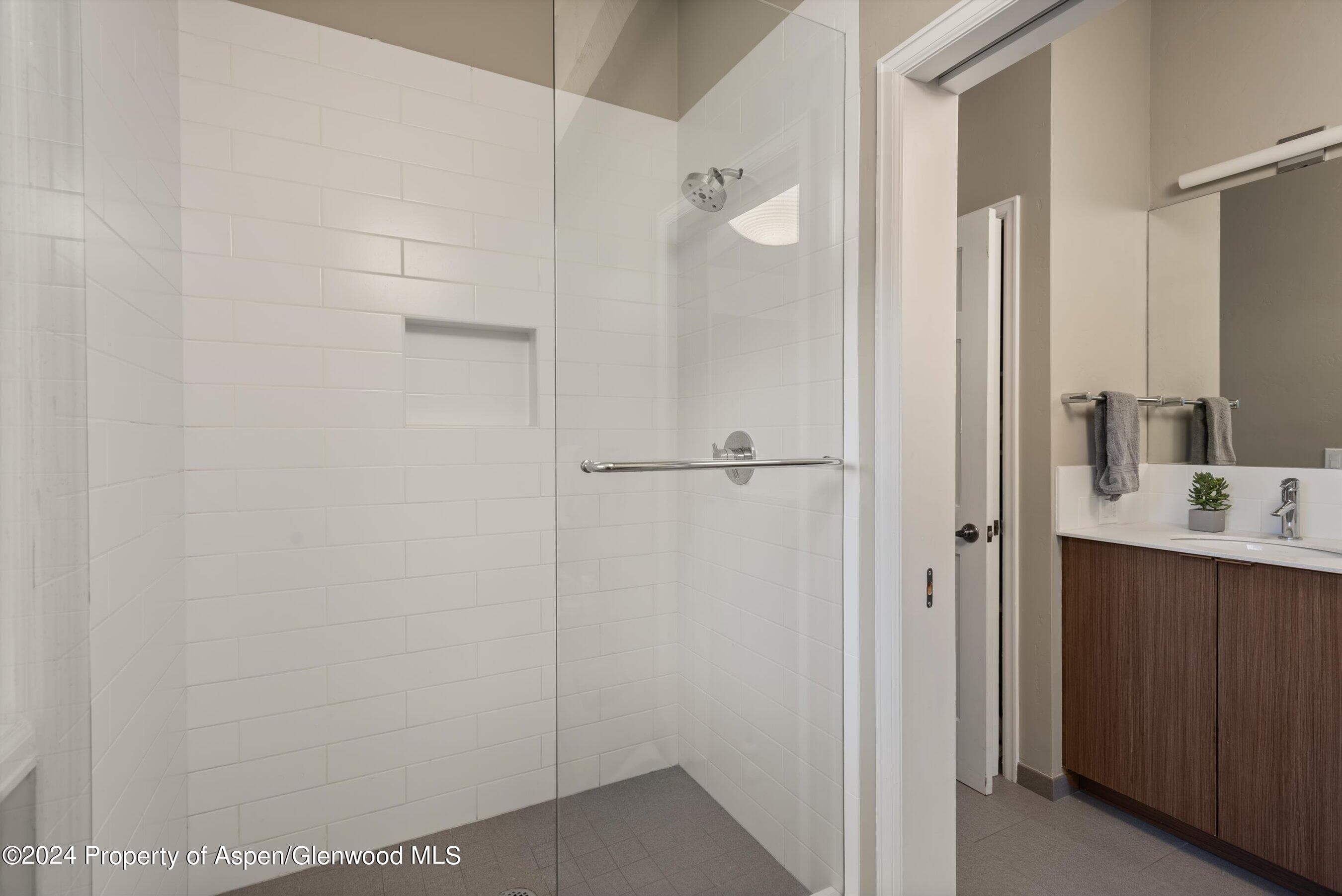 1650 Homestake Drive, Aspen, CO 81611 - Photo 14