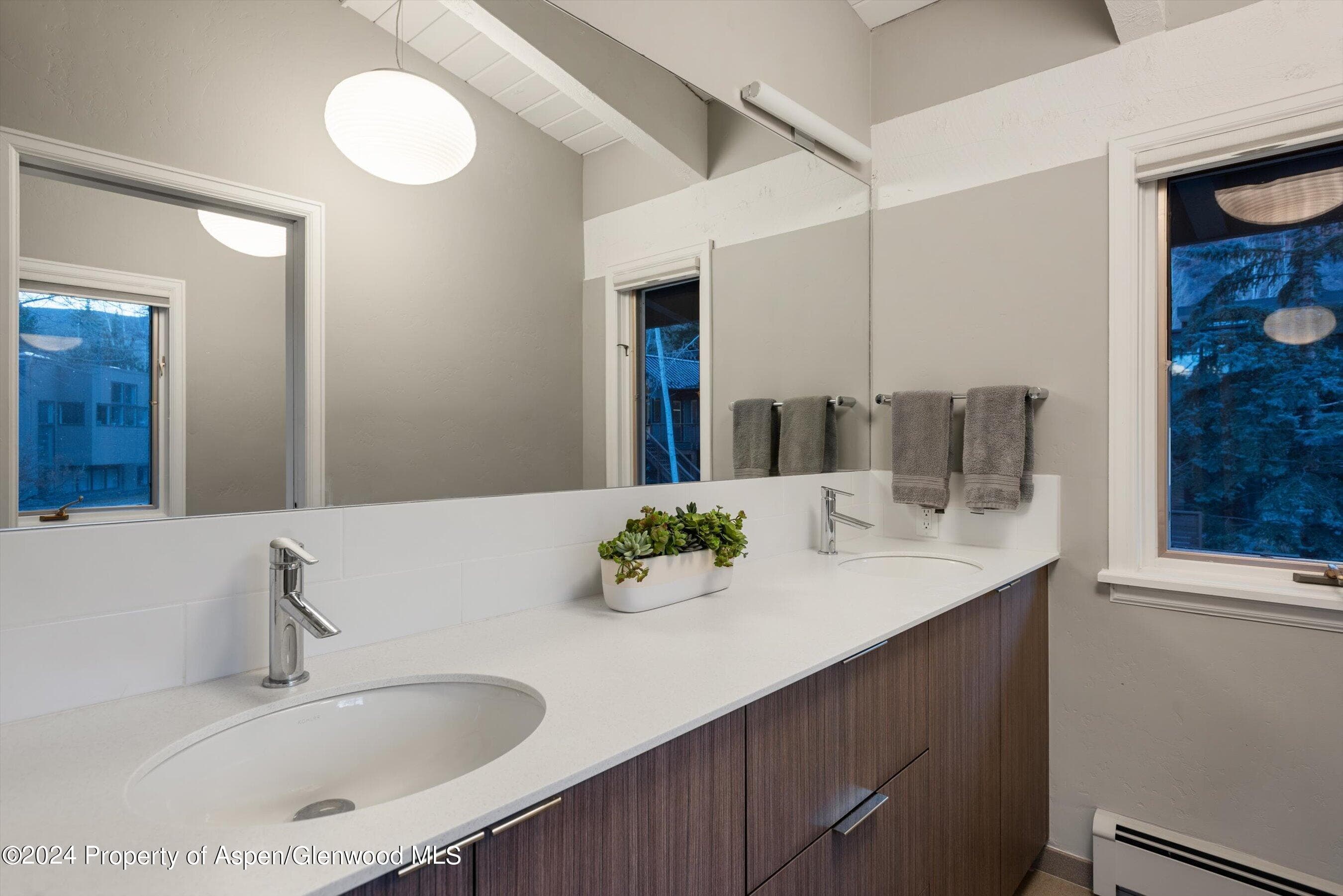 1650 Homestake Drive, Aspen, CO 81611 - Photo 13