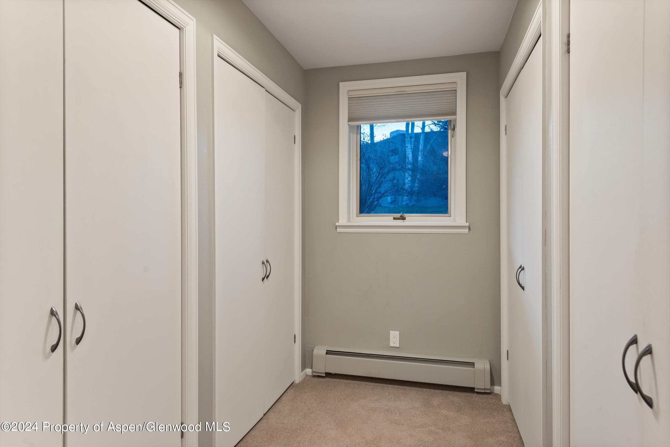 1650 Homestake Drive, Aspen, CO 81611 - Photo 19