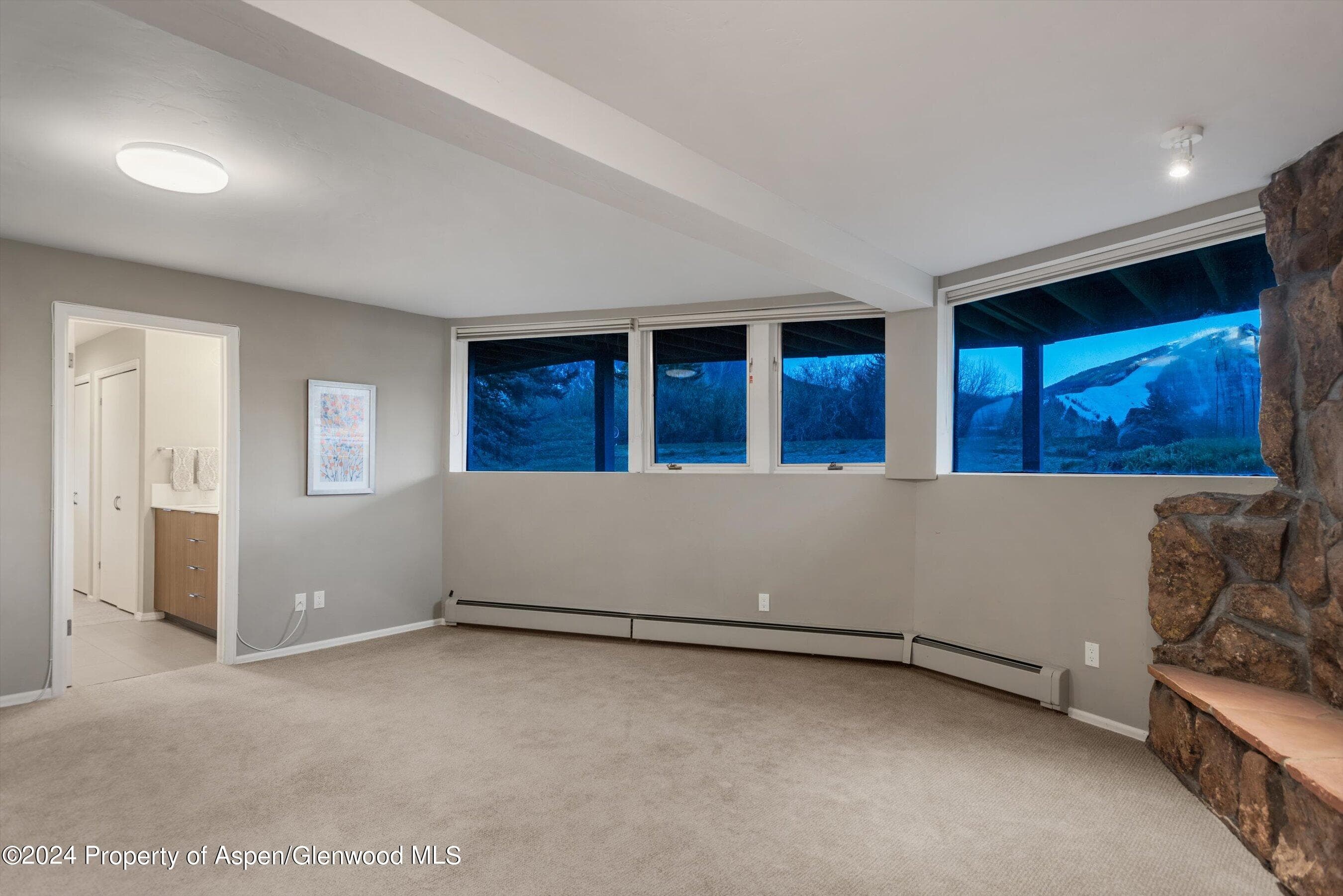 1650 Homestake Drive, Aspen, CO 81611 - Photo 16